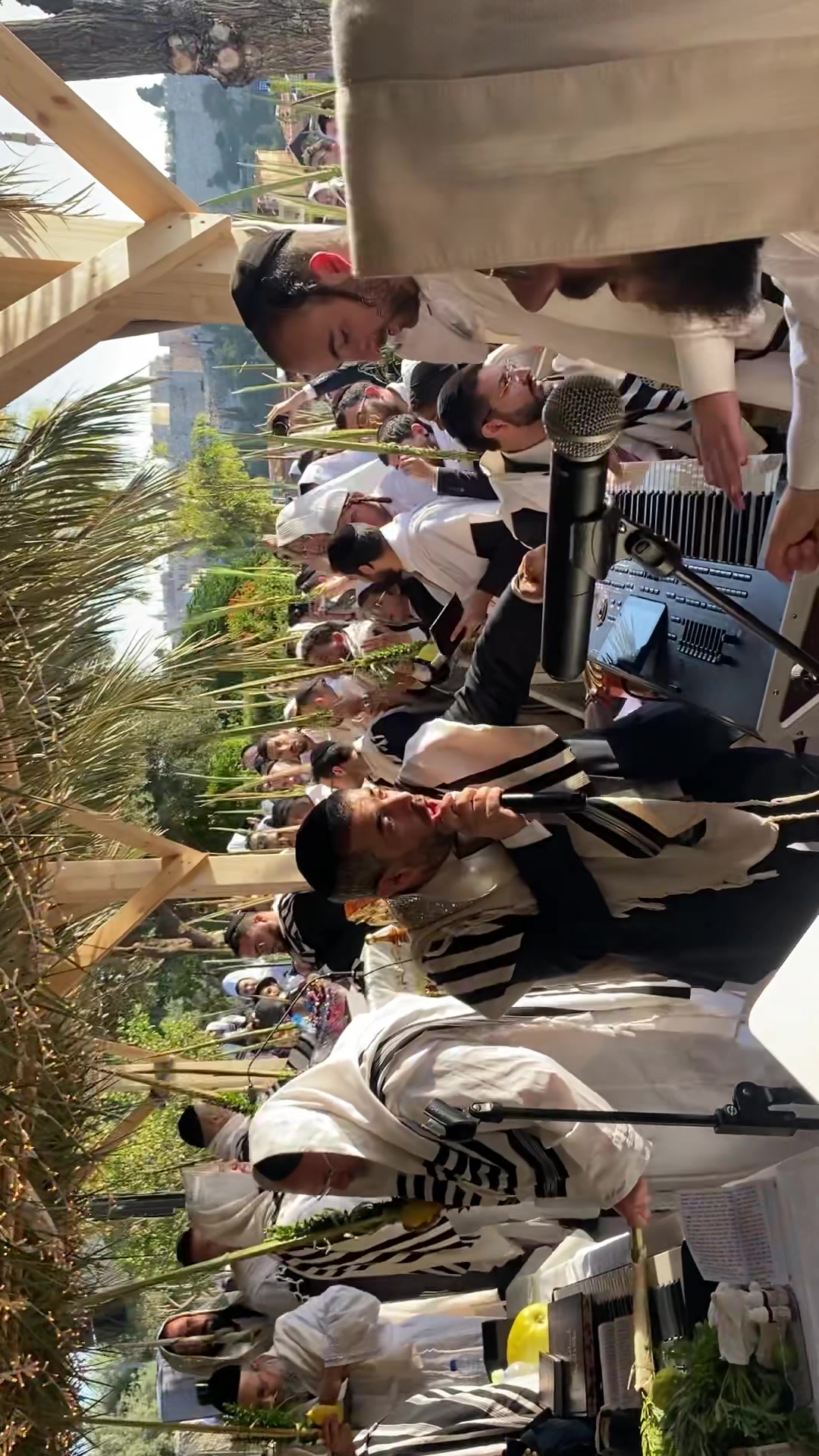 @הינוקא העמוד הרישמי