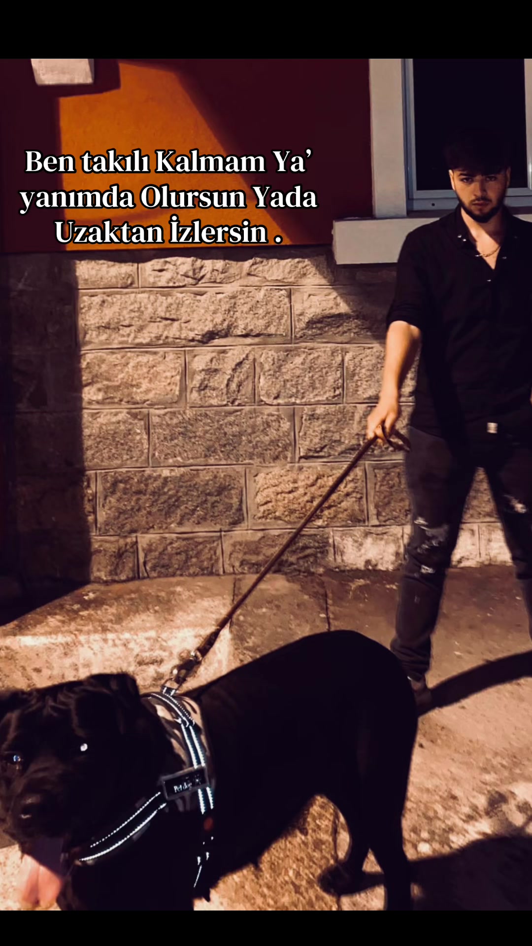 @Emran _Taşhev🐺🖤