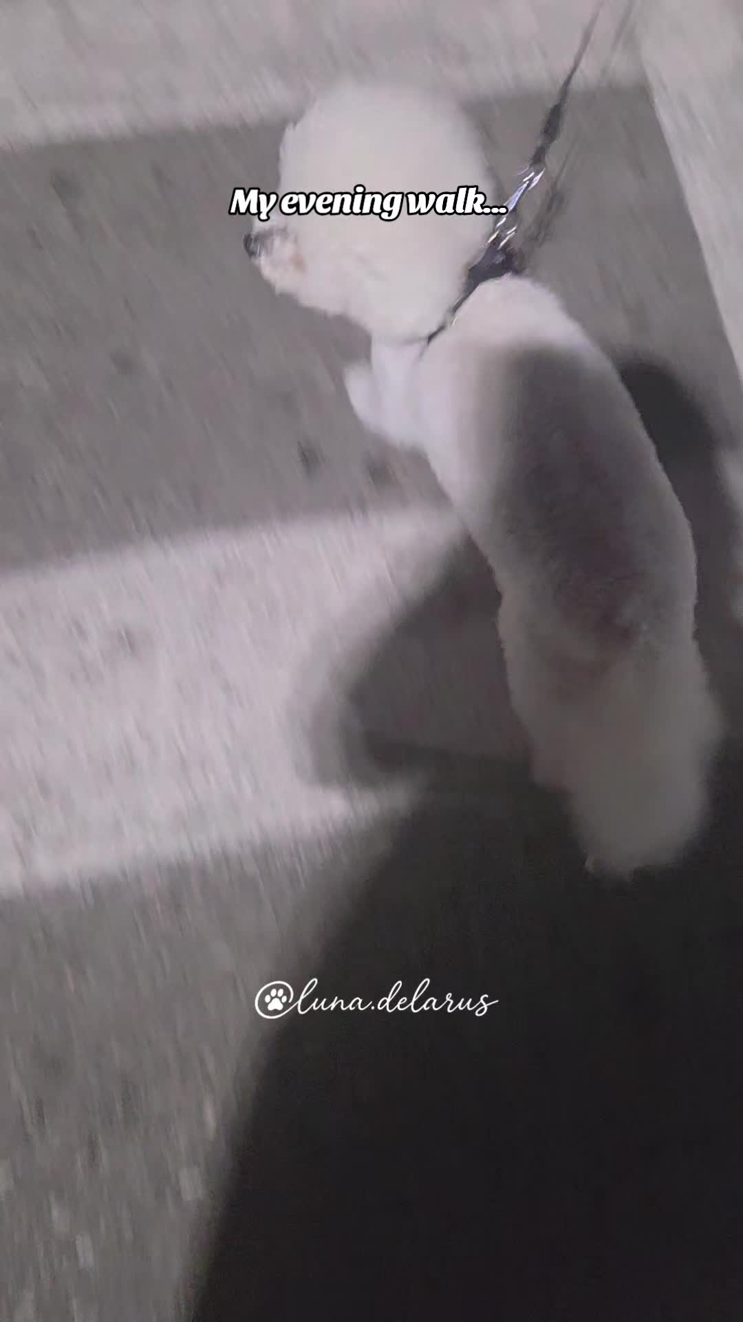 @Luna