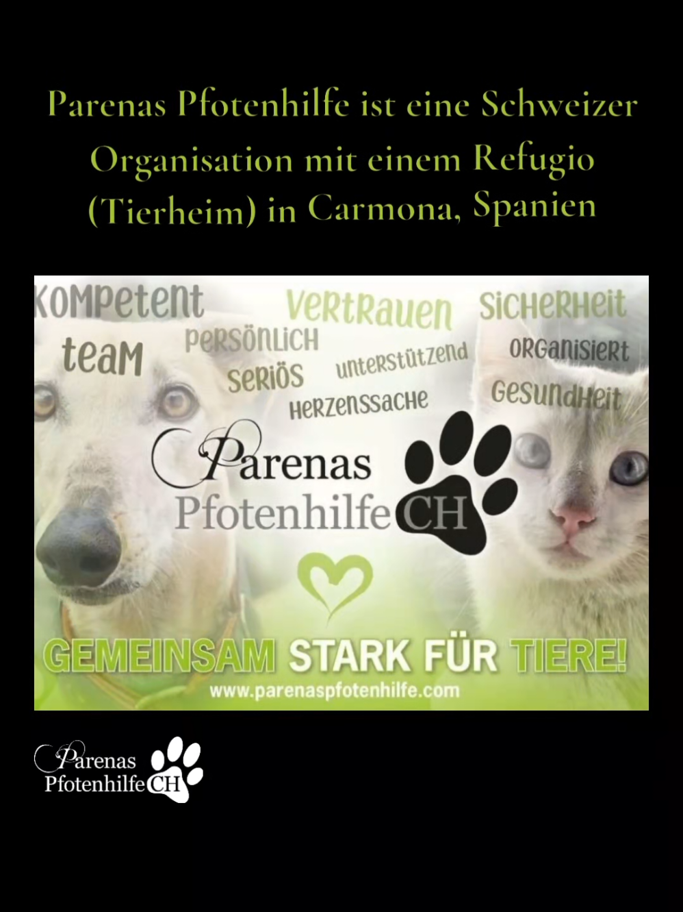 @Parenas Pfotenhilfe
