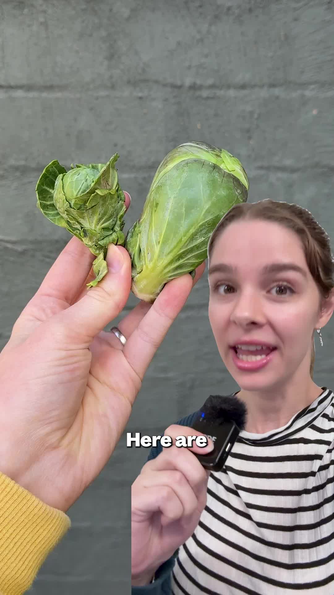 @Farmers Pick