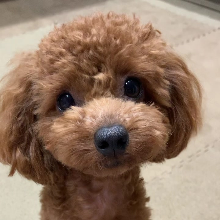 @ララティー