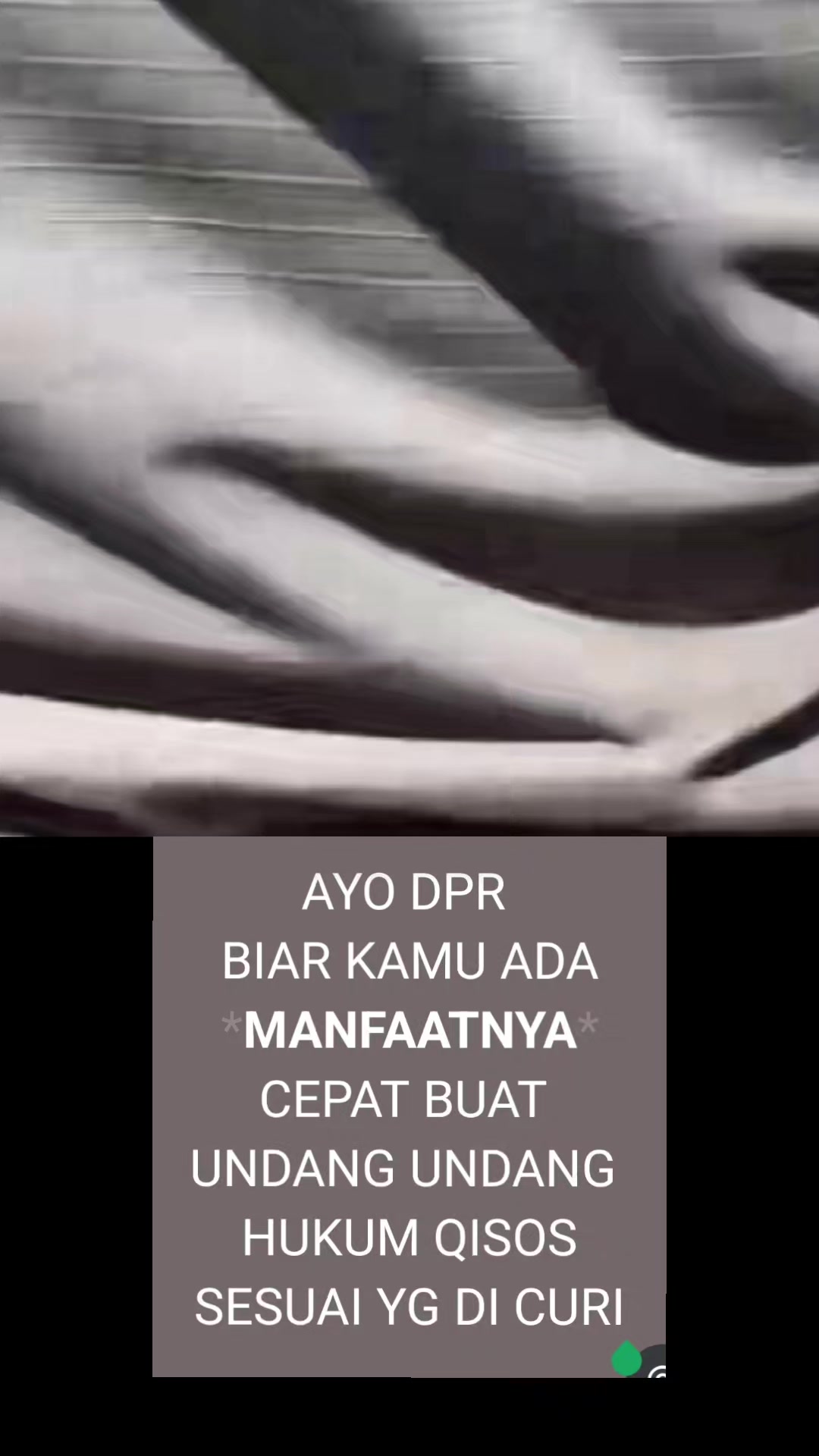 @ANCENE
