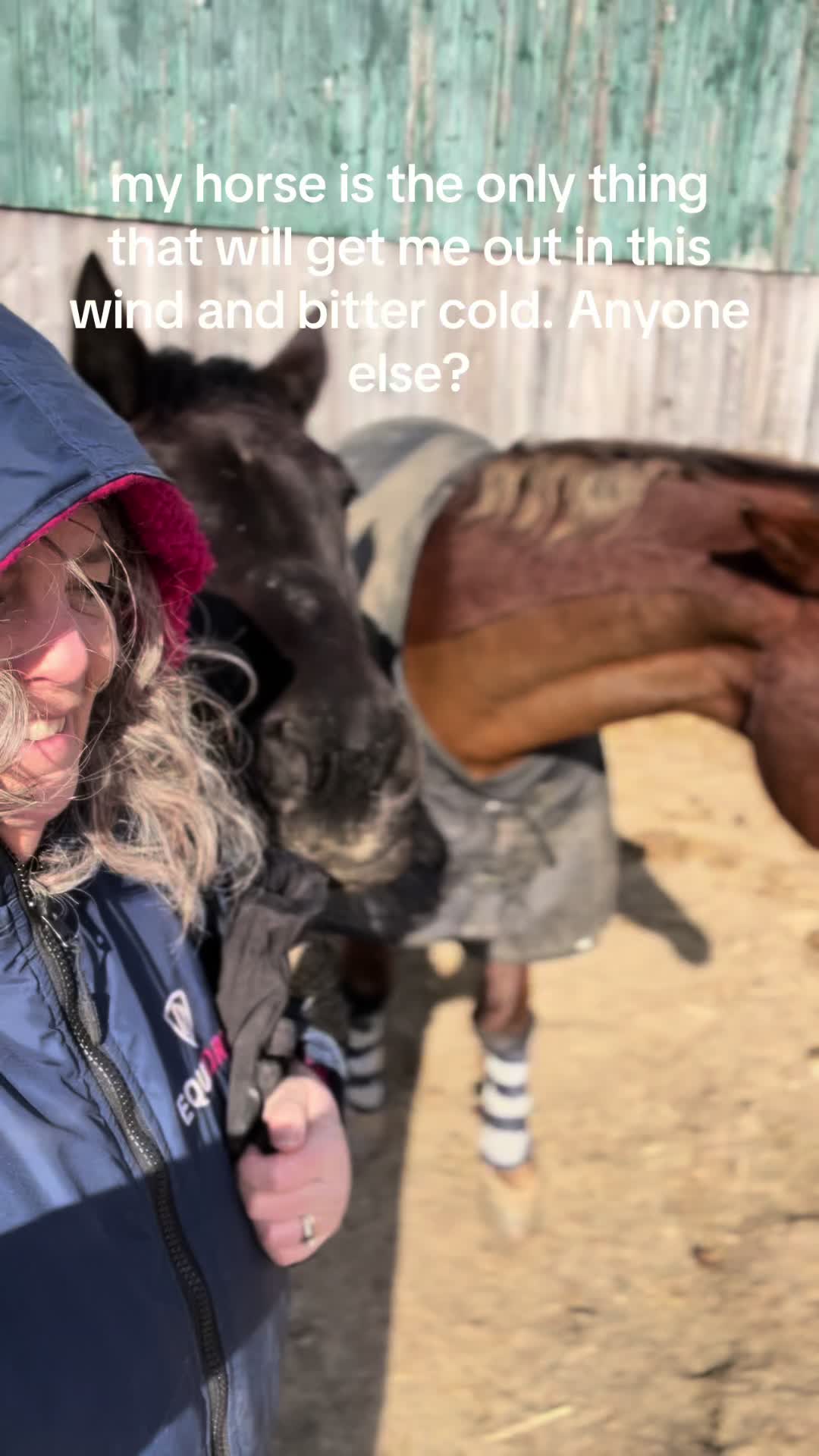 @Horseplay66