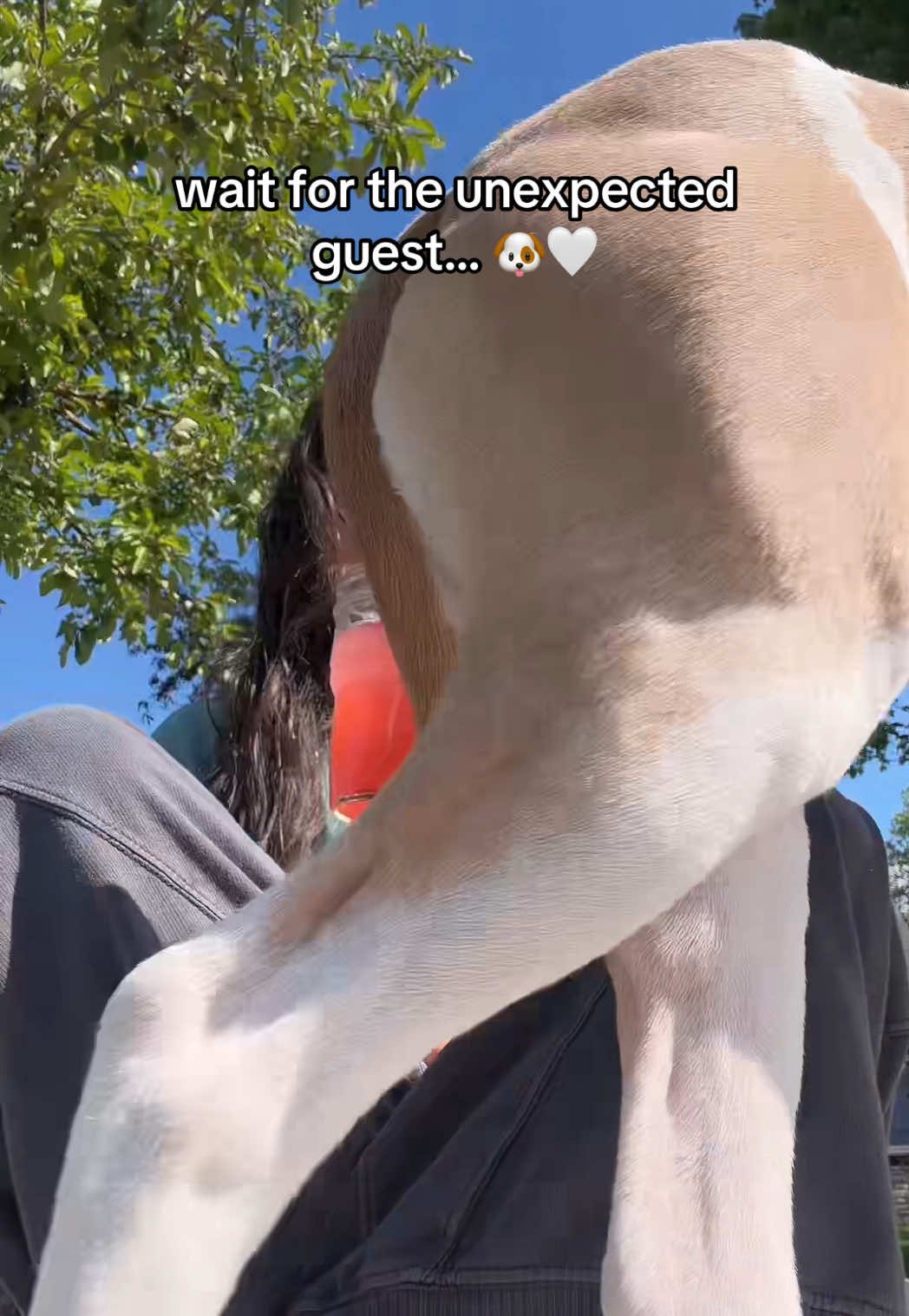 @kelseytiktokshop