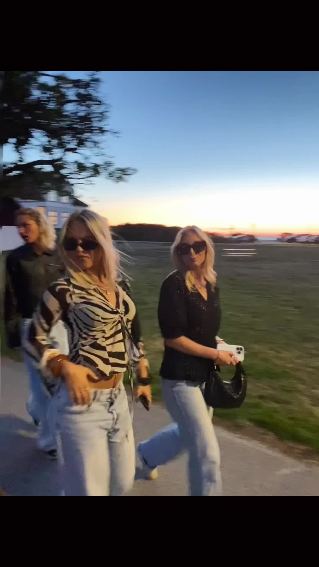 @elviraaspgren1