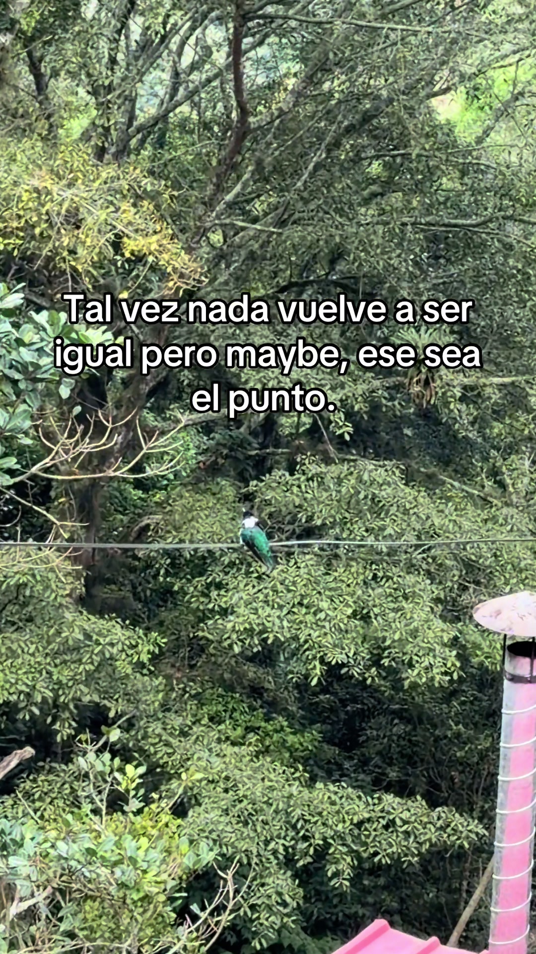 @UnTal Javier Pro Max