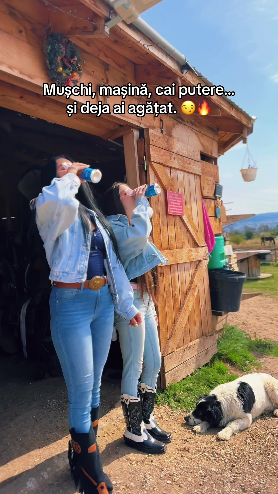 @Alexandra de la Hidalgo 🤠