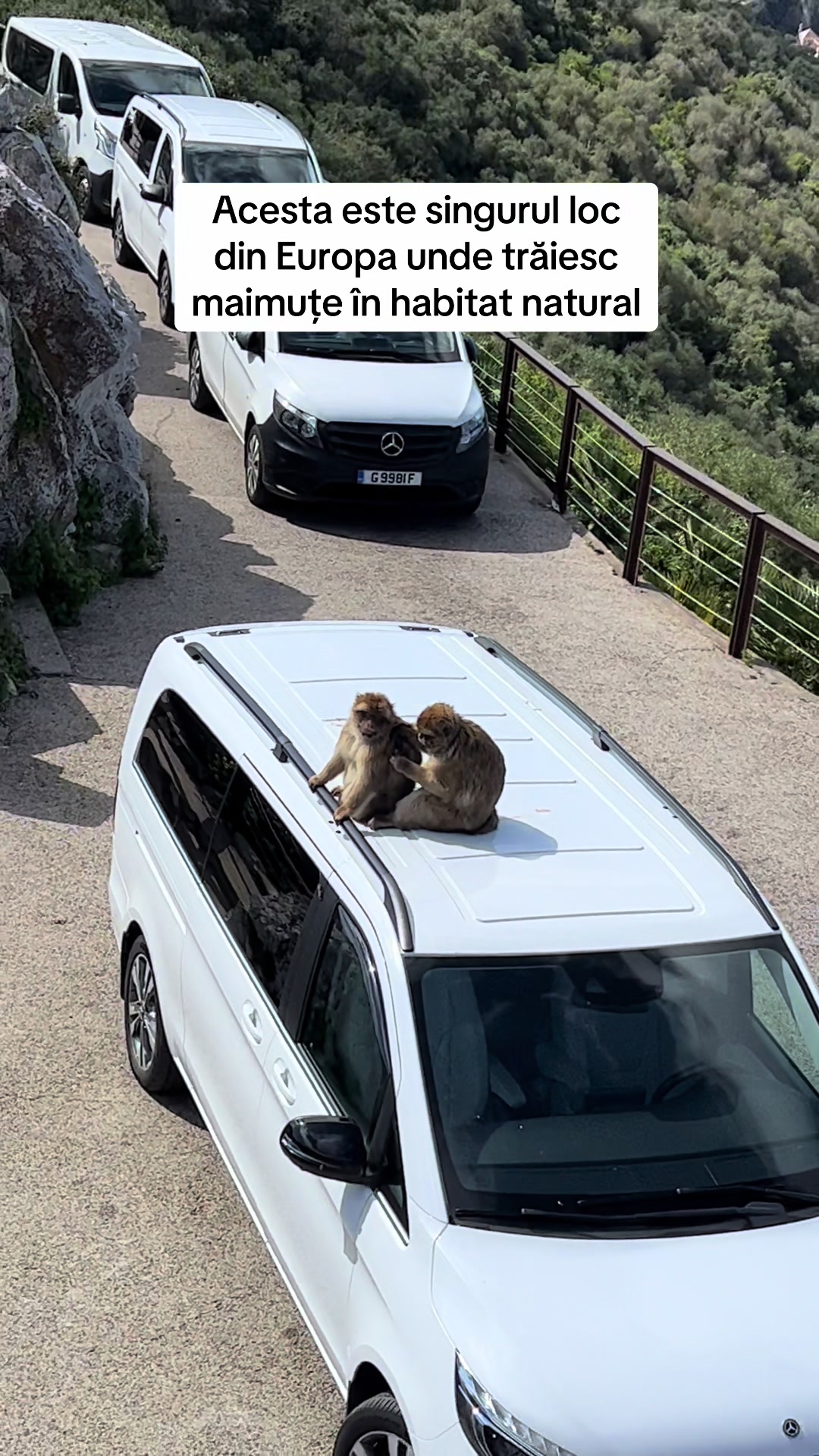 @Buget de Aventură