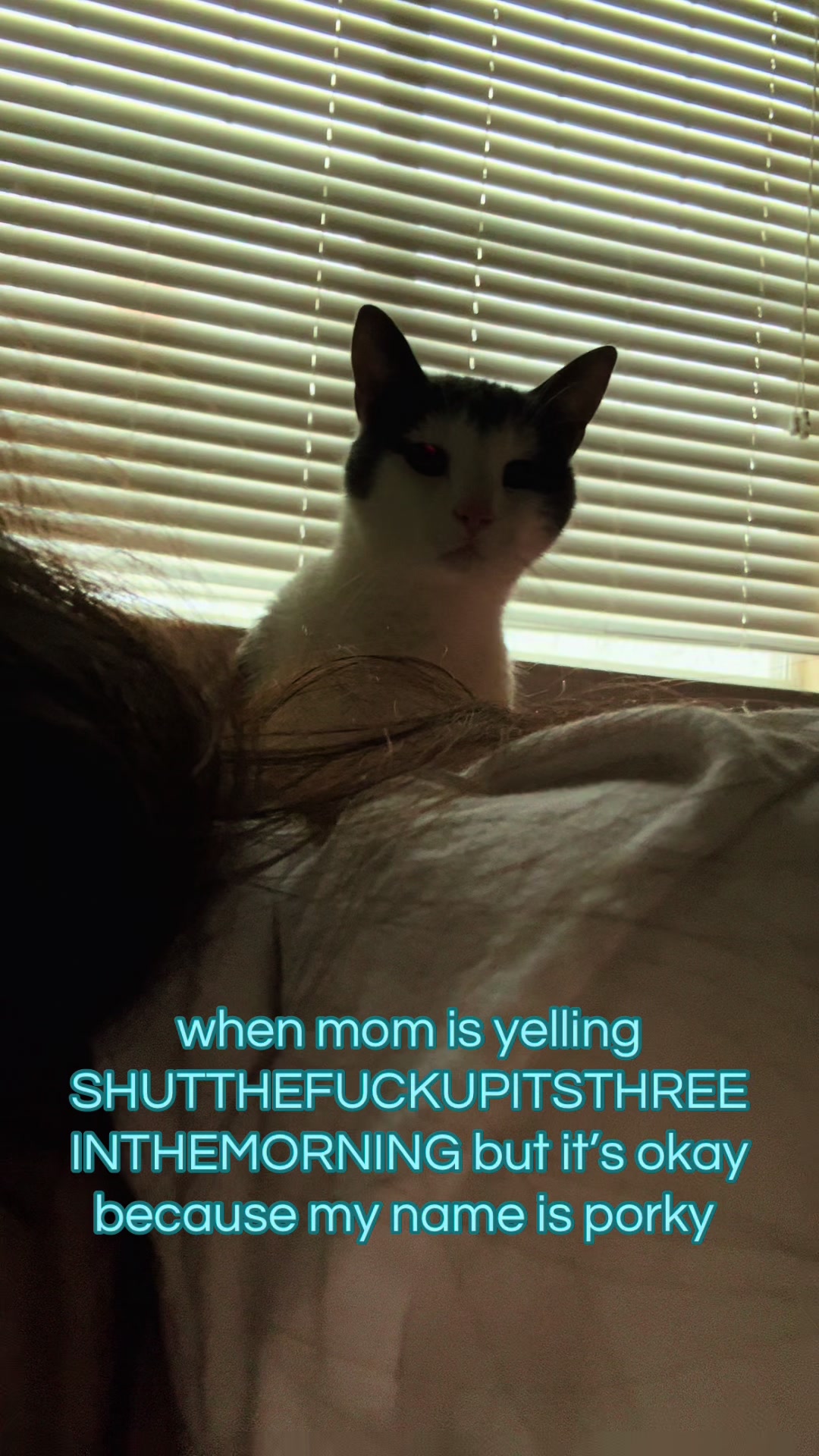 @feldsm
