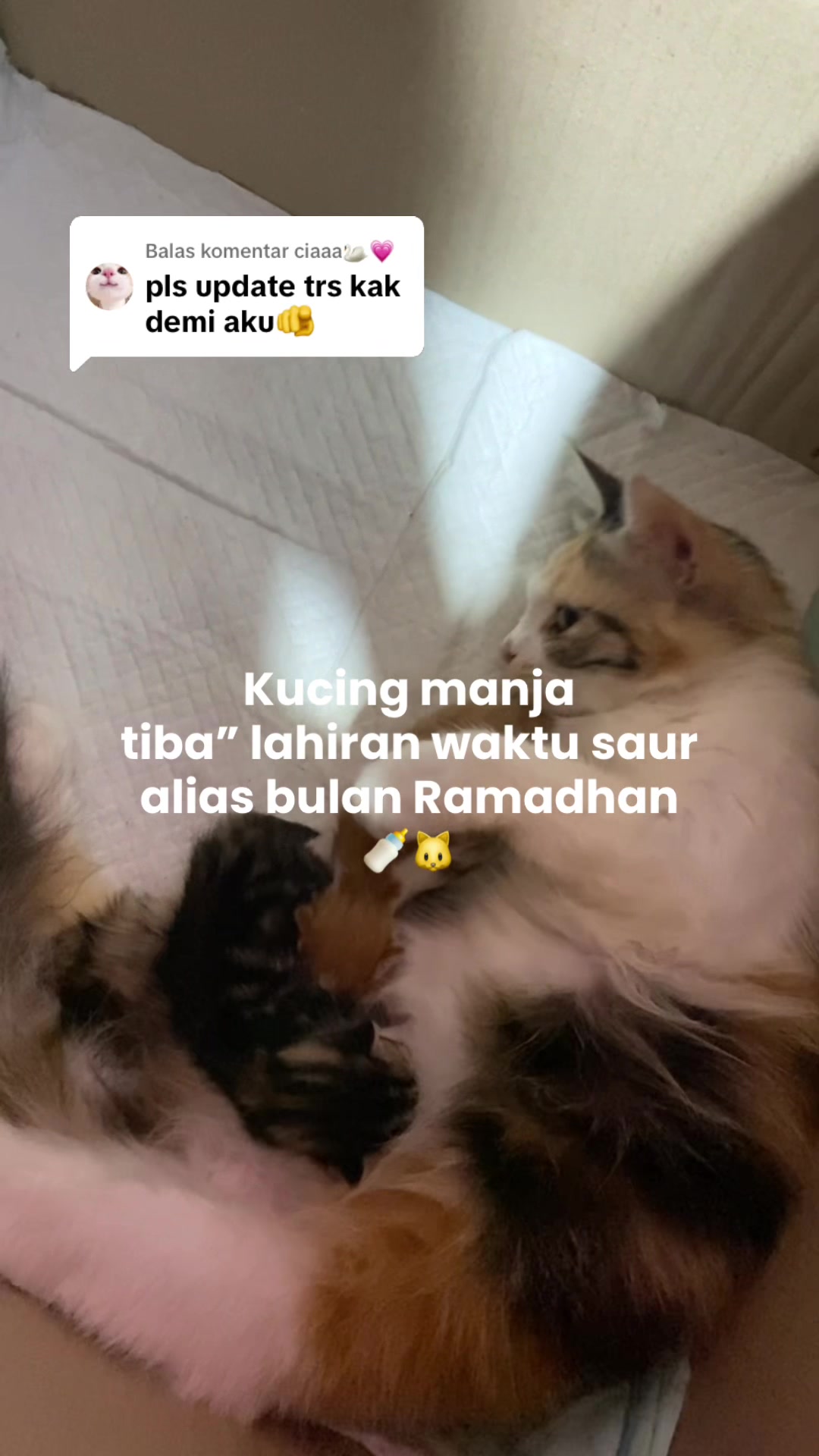 @Cikchubwa