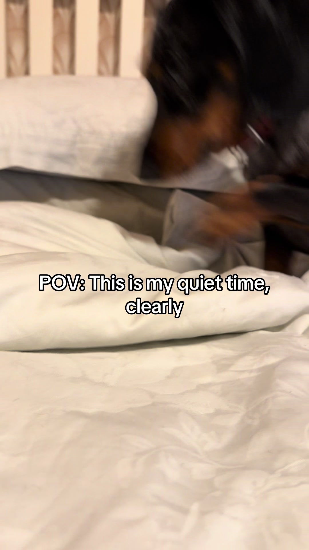 @dibblydobbly_dax