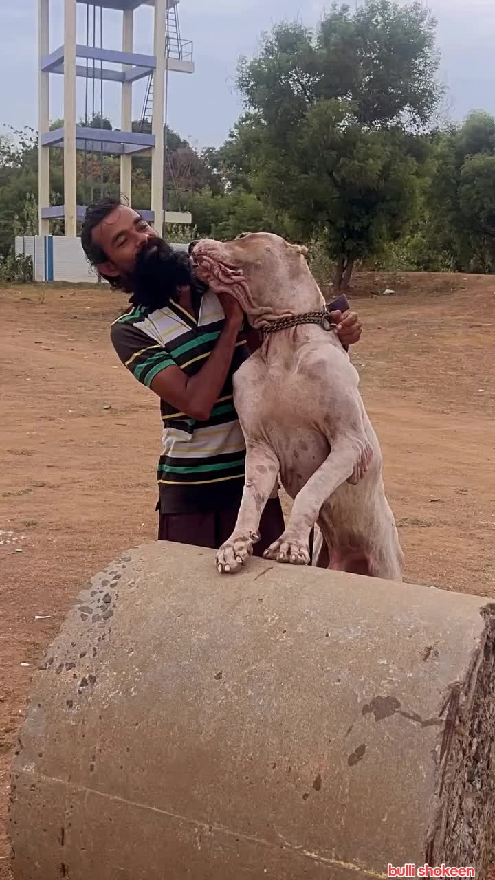 @bullishokeen2