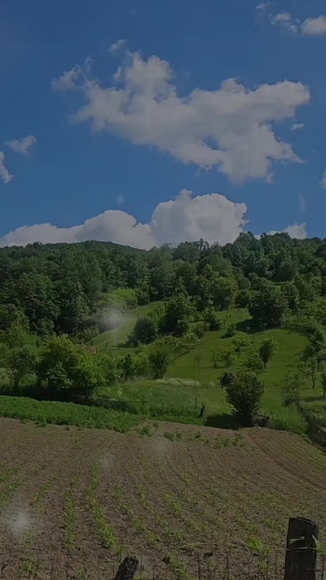 @🎶💃Pătimașa🥥C.A.R.M.E.N🎶💃