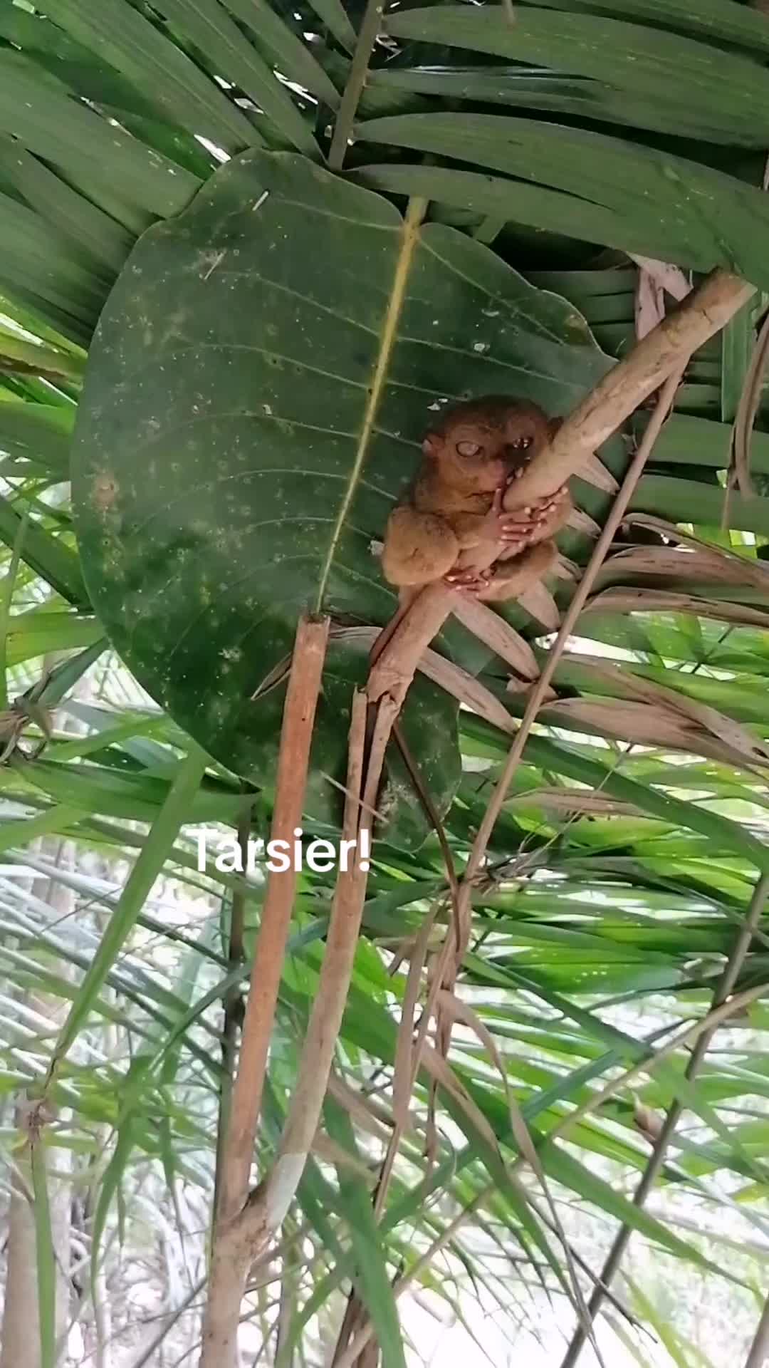 @TravelAnastasia!!!