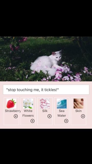 @snowy 𝜗𝜚