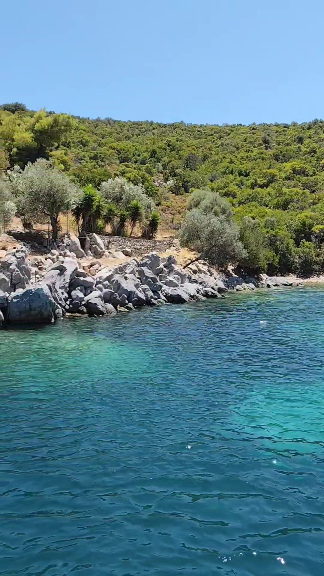 @Κατερίνα Καζεπίδου