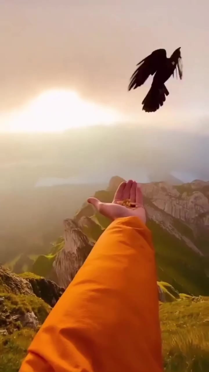 @মুক্ত মাঠের মিষ্টি হাওয়া