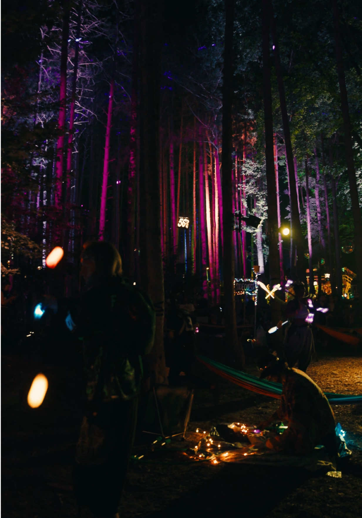 @Electric Forest