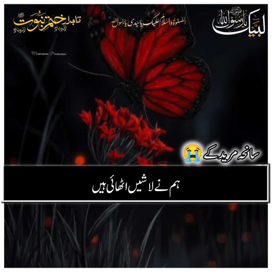 @☝️⭐༄گمنام مجاھد༄⭐💫