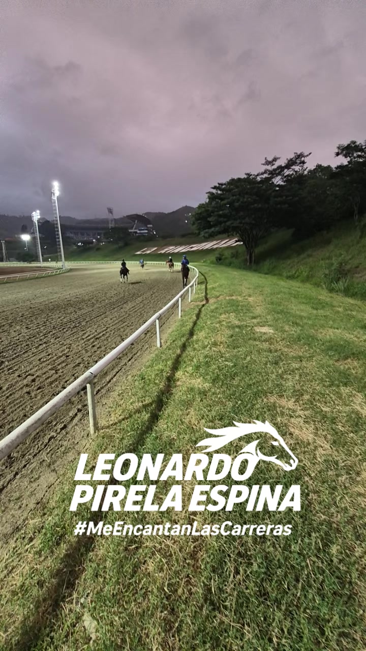@LEONARDO PIRELA ESPINA