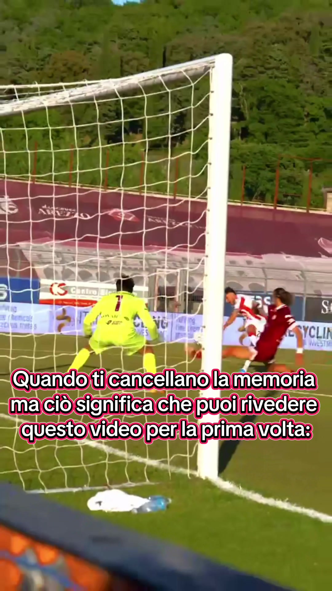 @lrvicenza