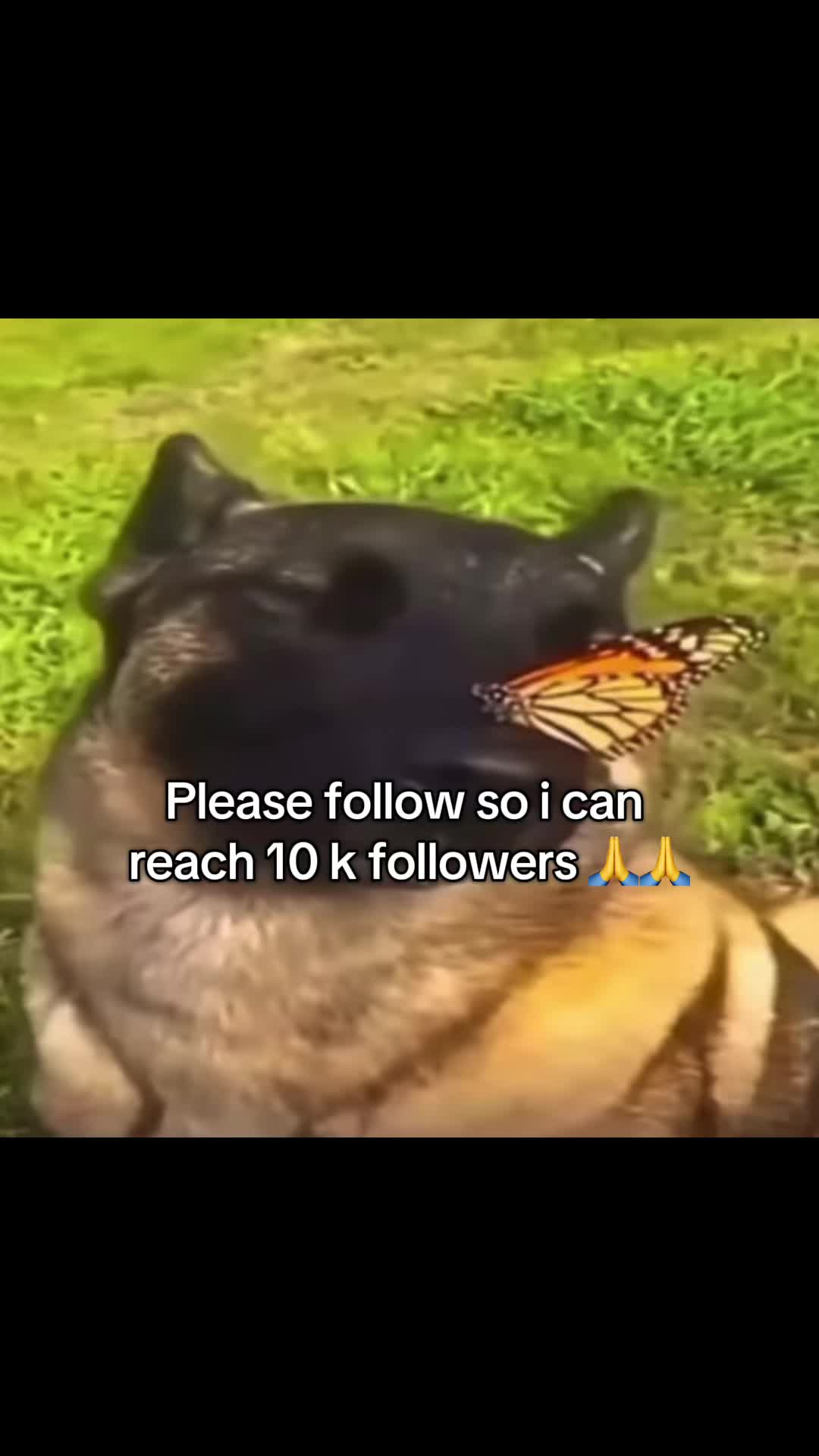 @Sneakygolem5