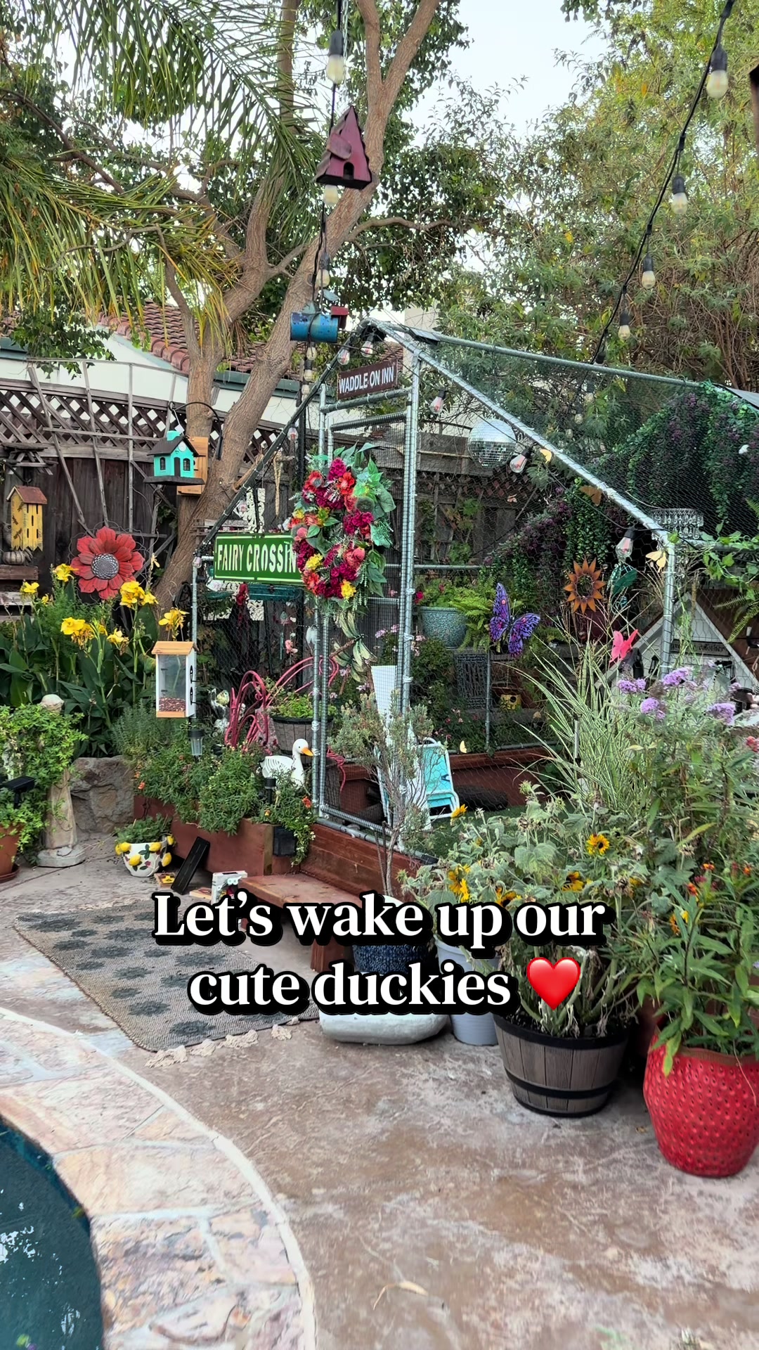 @Sherry&rsquo;s Backyard Sanctuary