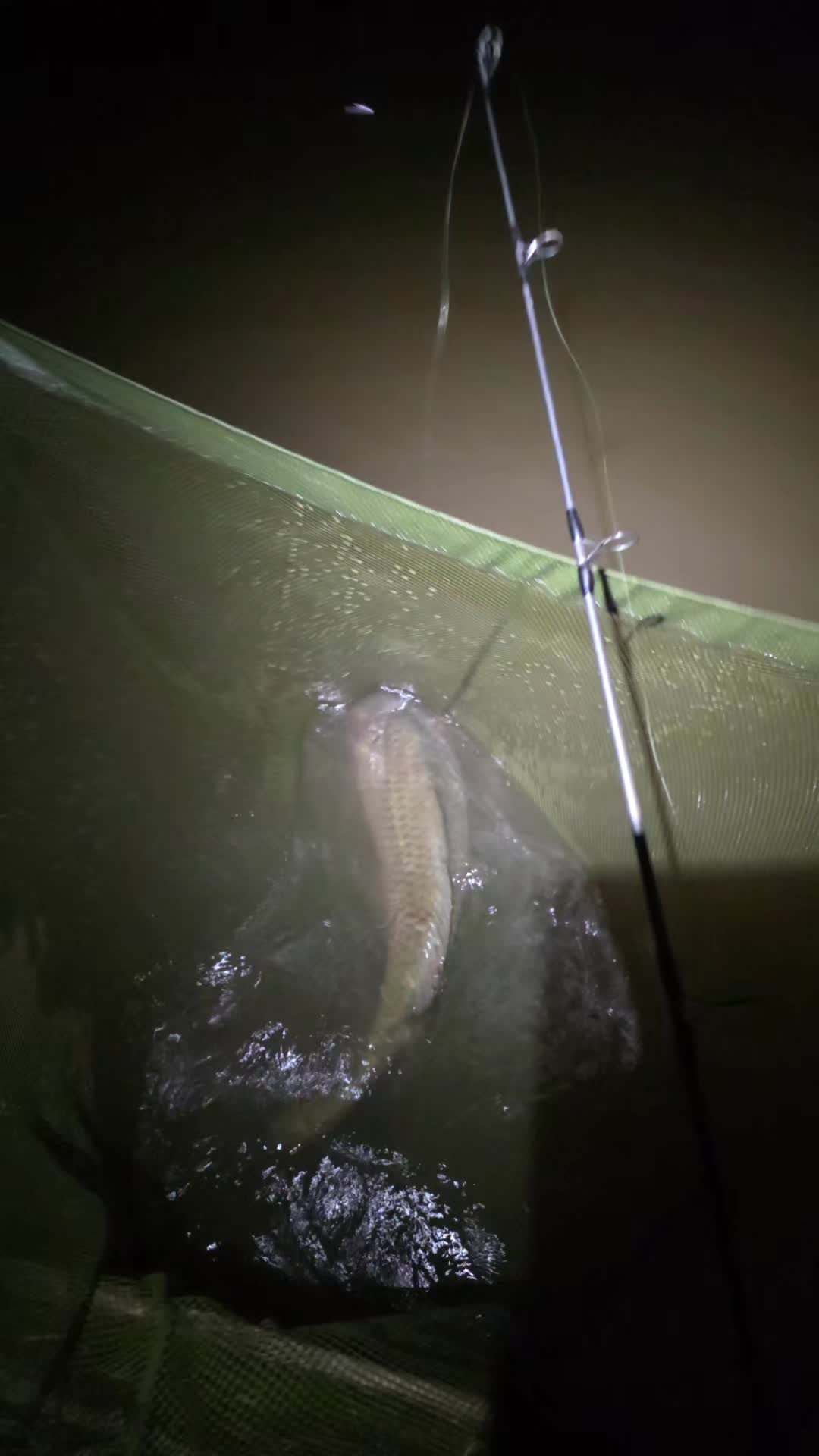 @🎣 Lee Preston 🎣