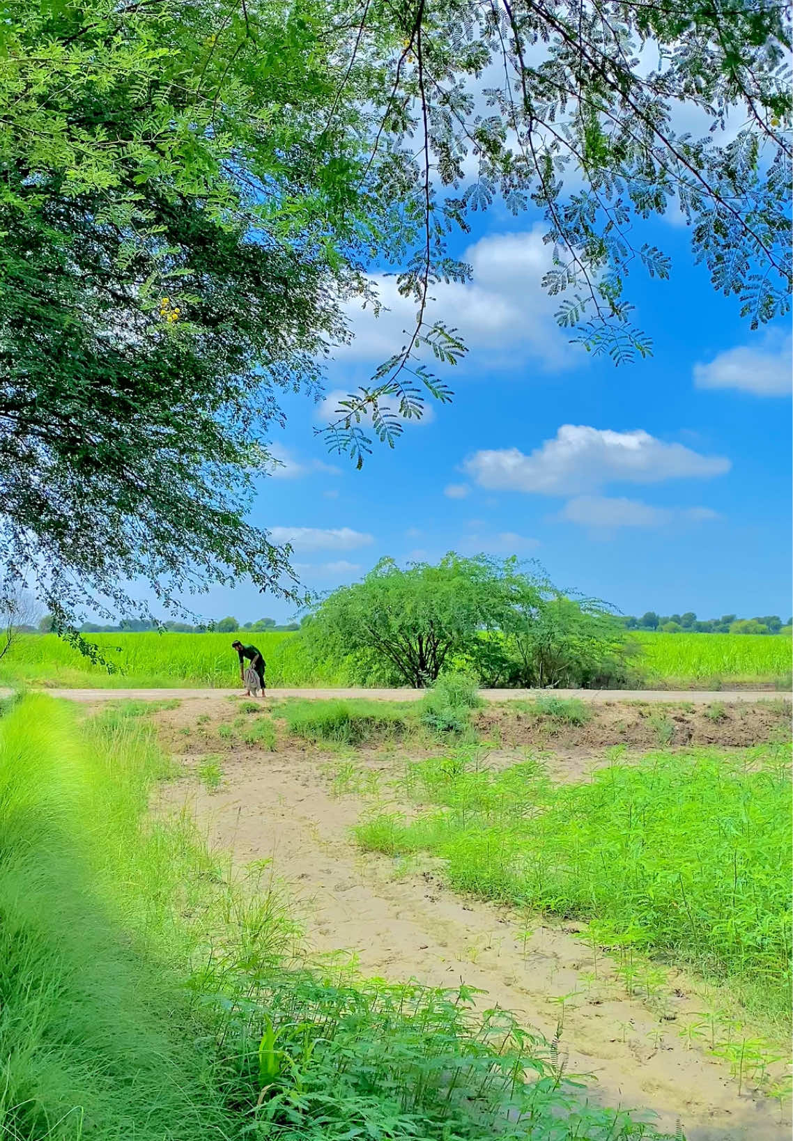 @Iftikhar_Wassan 𓆩♡𓆪🧸