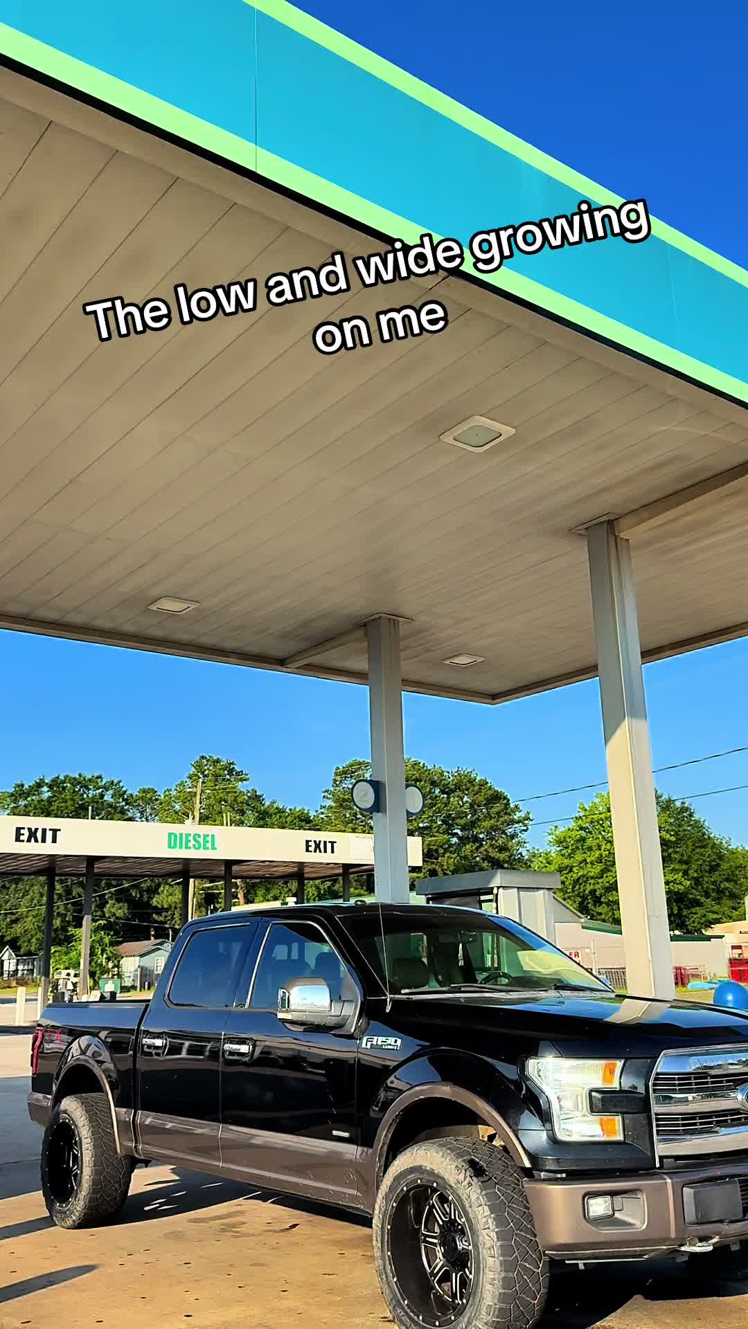 @cheddarbob