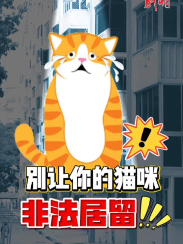 @新明日报