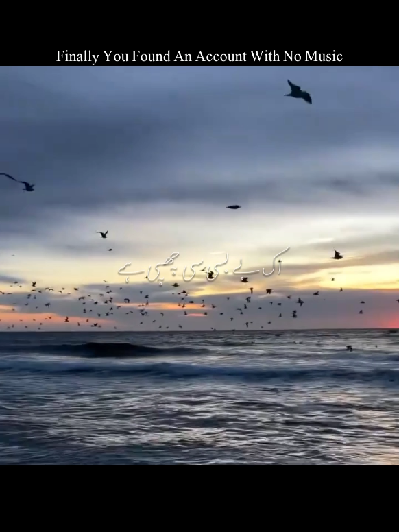 @𝐁𝐞𝐚𝐮𝐭𝐲_𝐨𝐟_𝐕𝐨𝐜𝐚𝐥𝐬