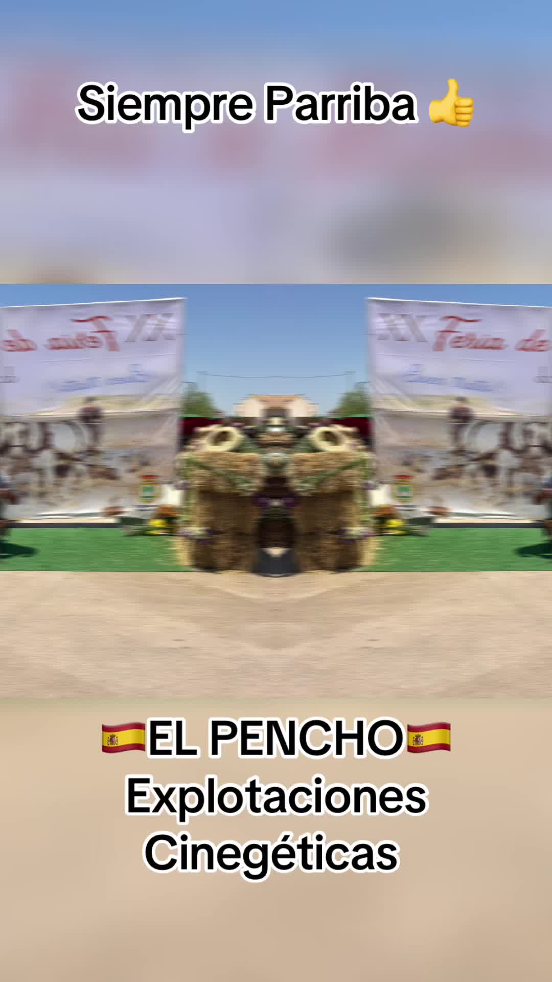@El_Pencho_Cinegeticas