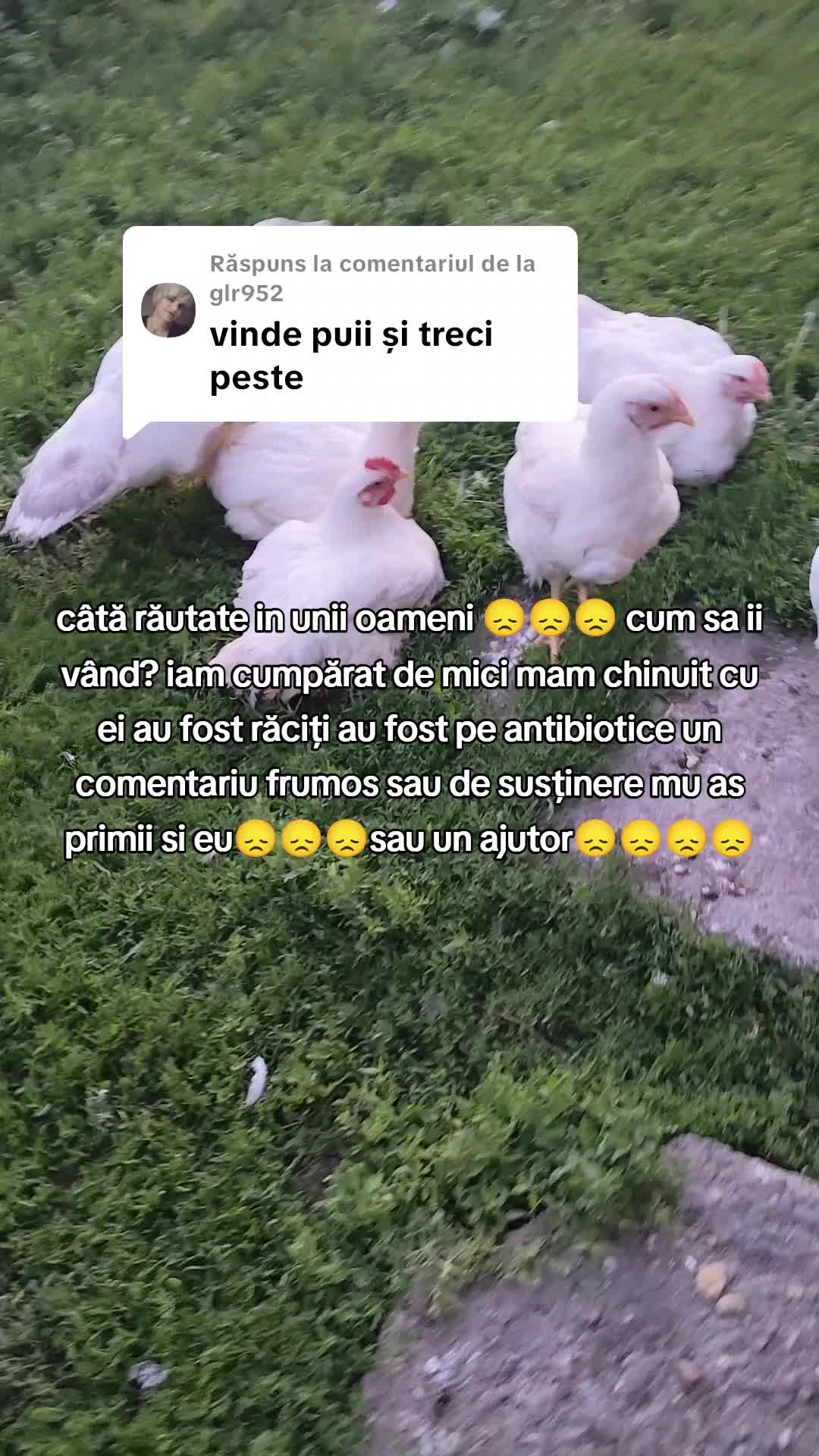 @Cristian