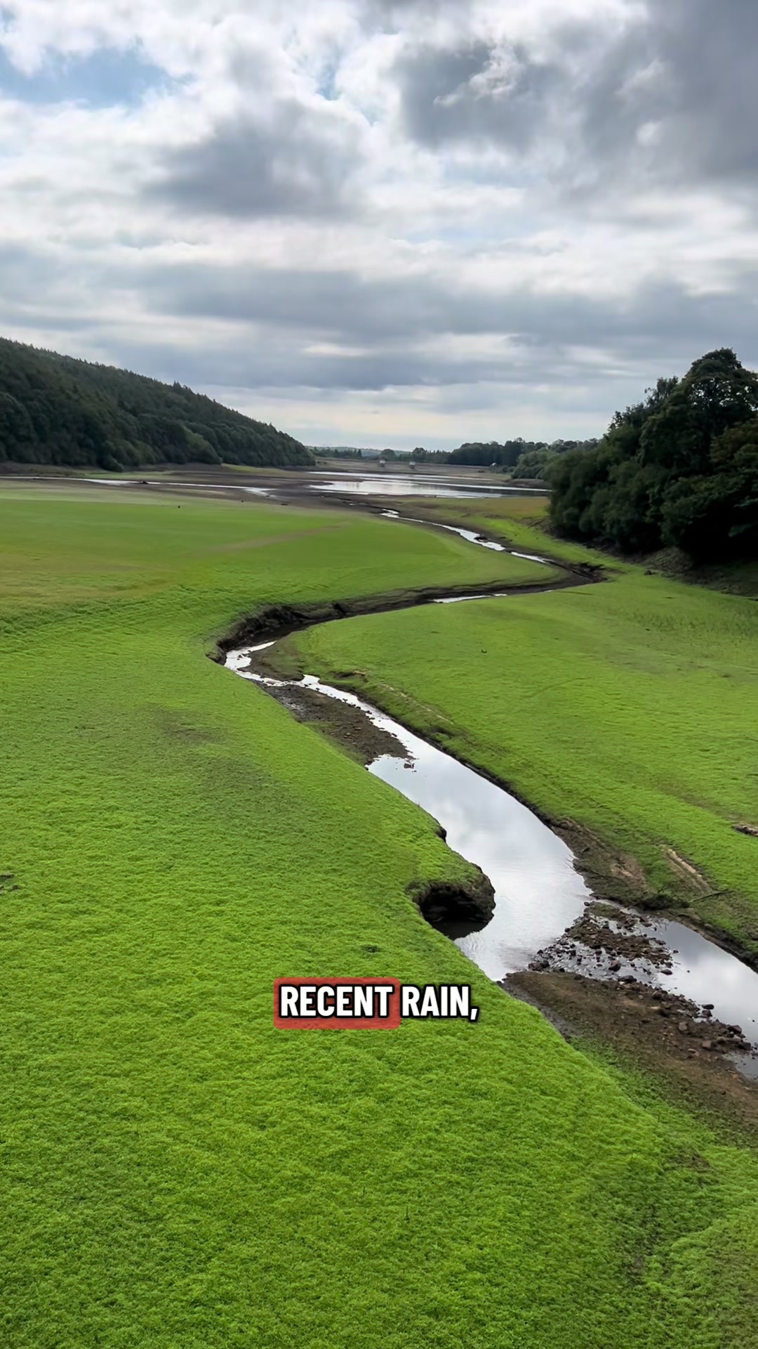 @Sam Bentley | Ecology