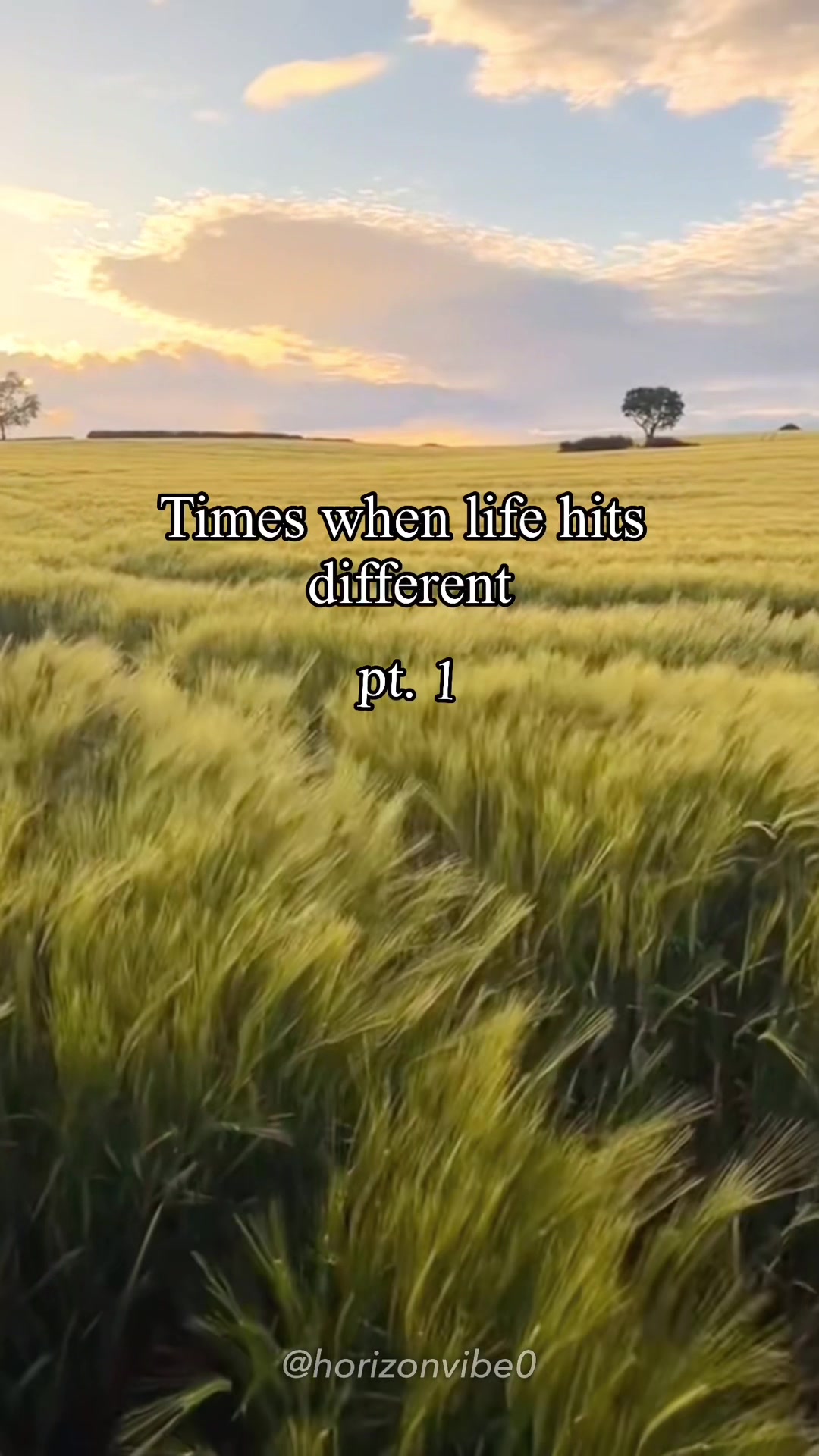 @horizonvibe0