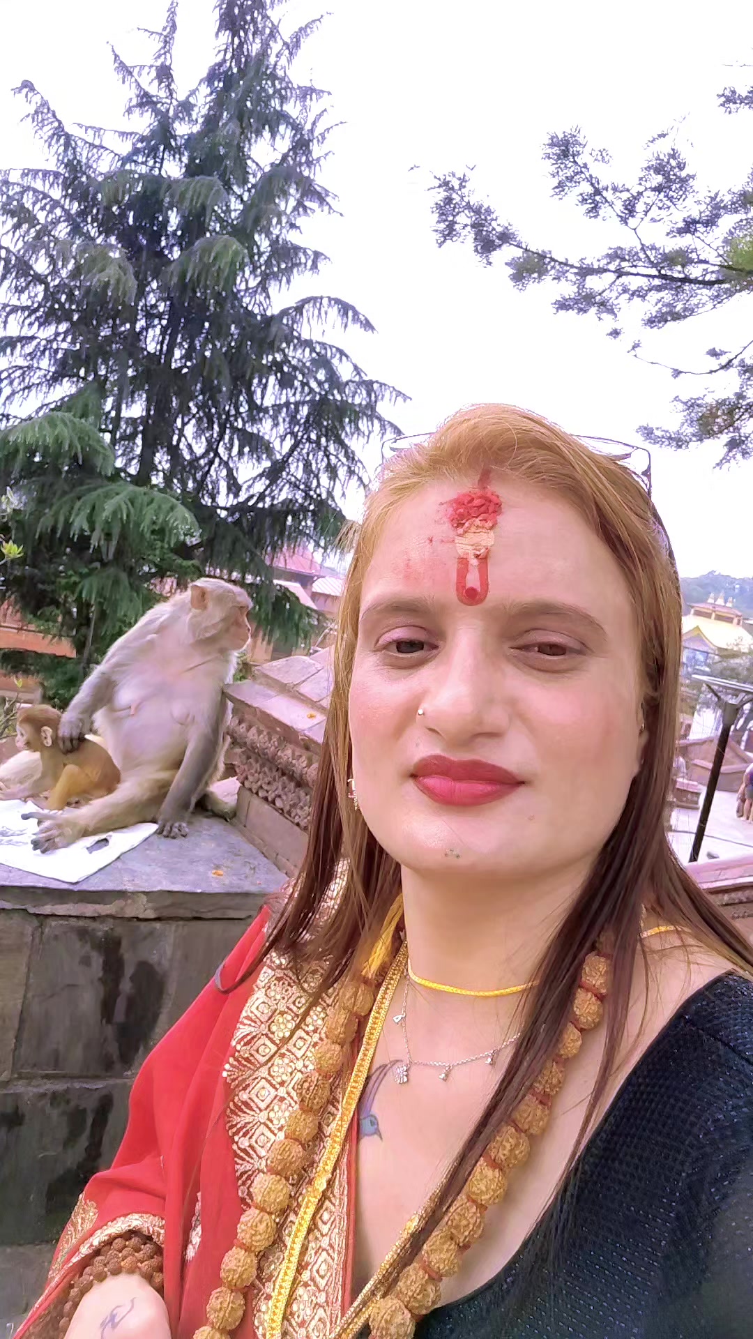 @Siya Adhikari
