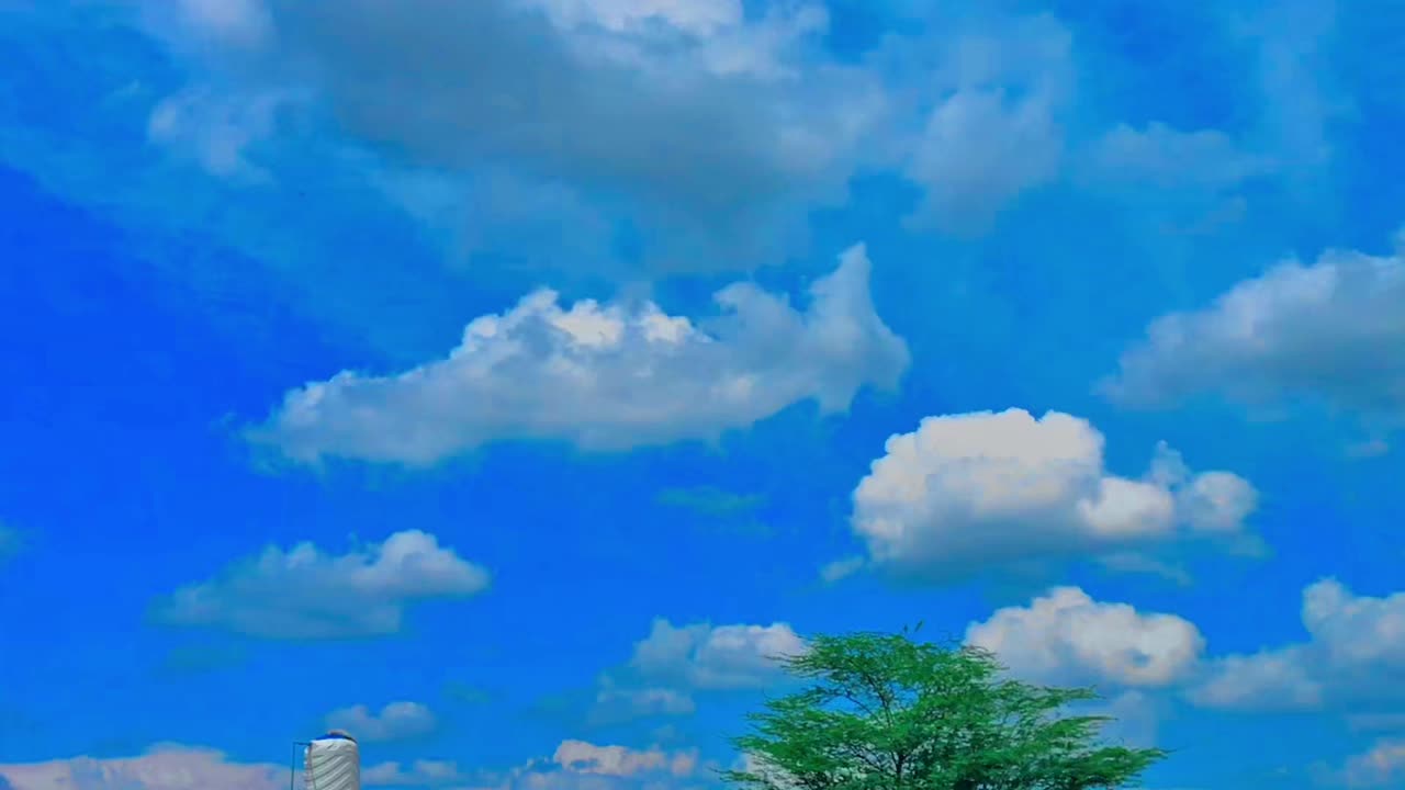 @🌾🌱پنجابی کلچر 🌾🌱