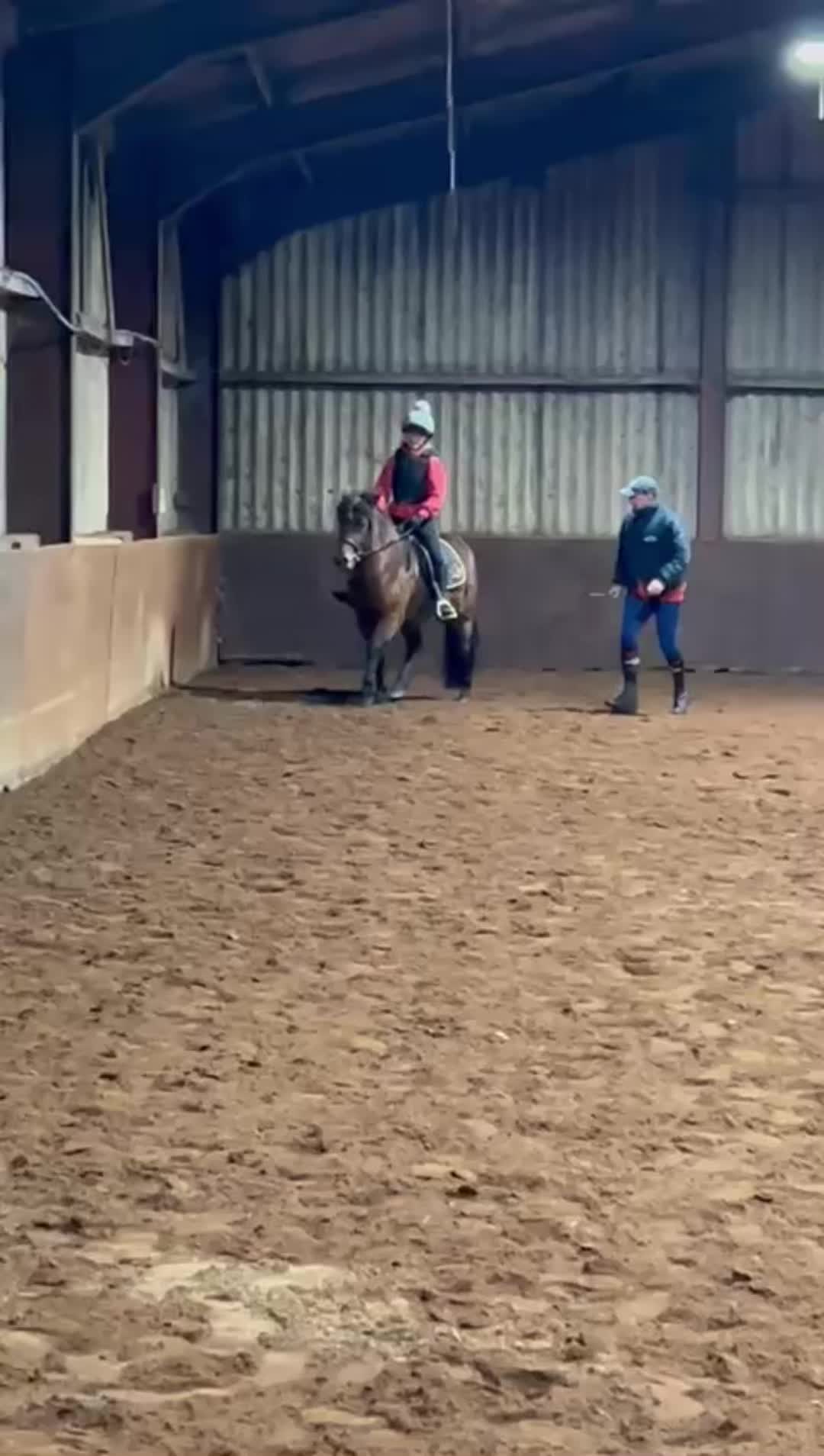 @Freya_horses