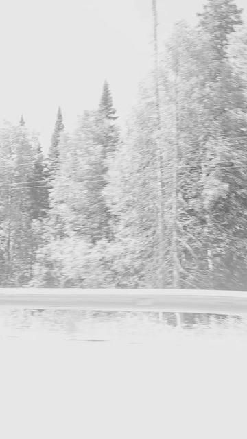 @Лида