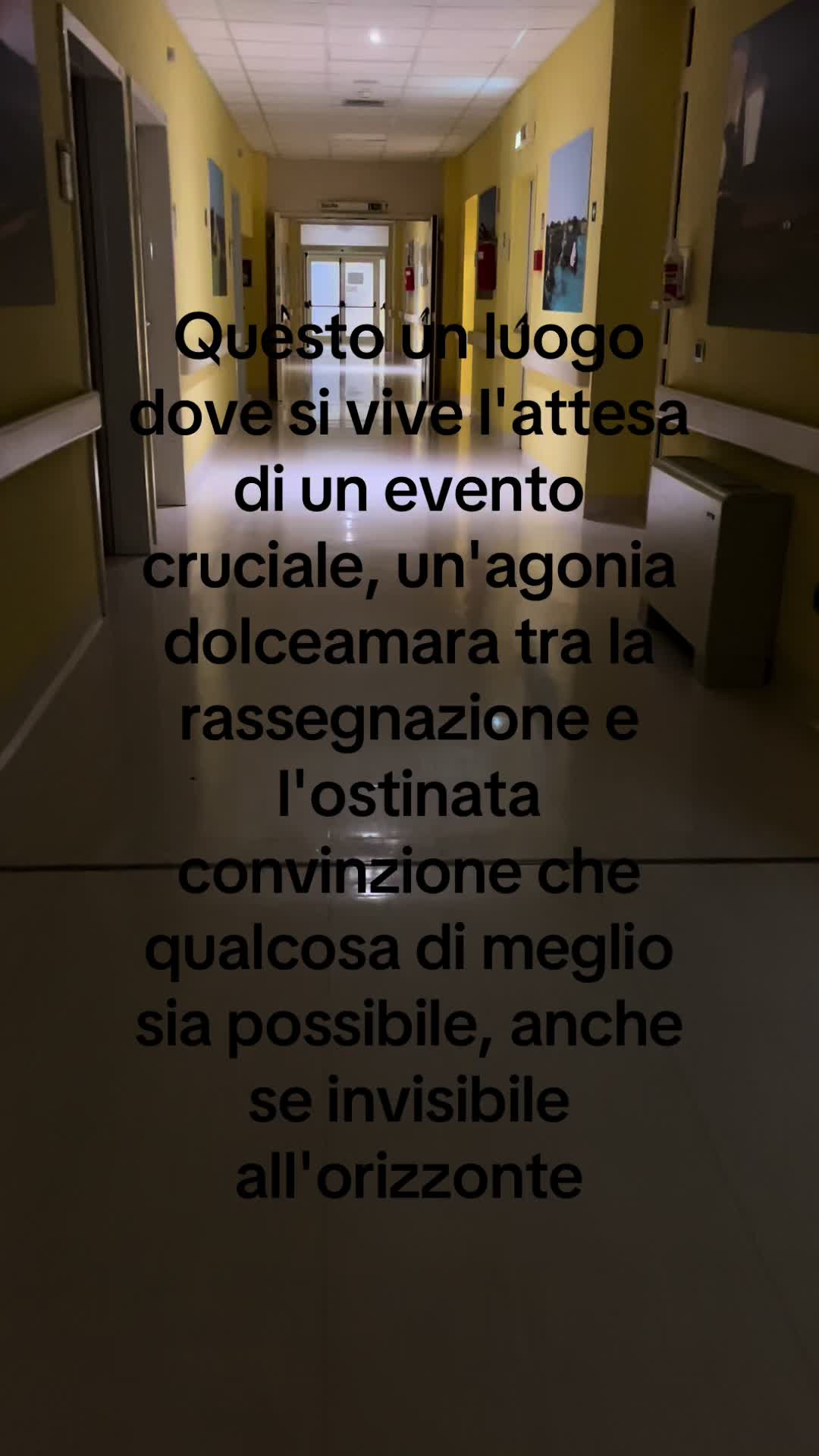 @alemangioo