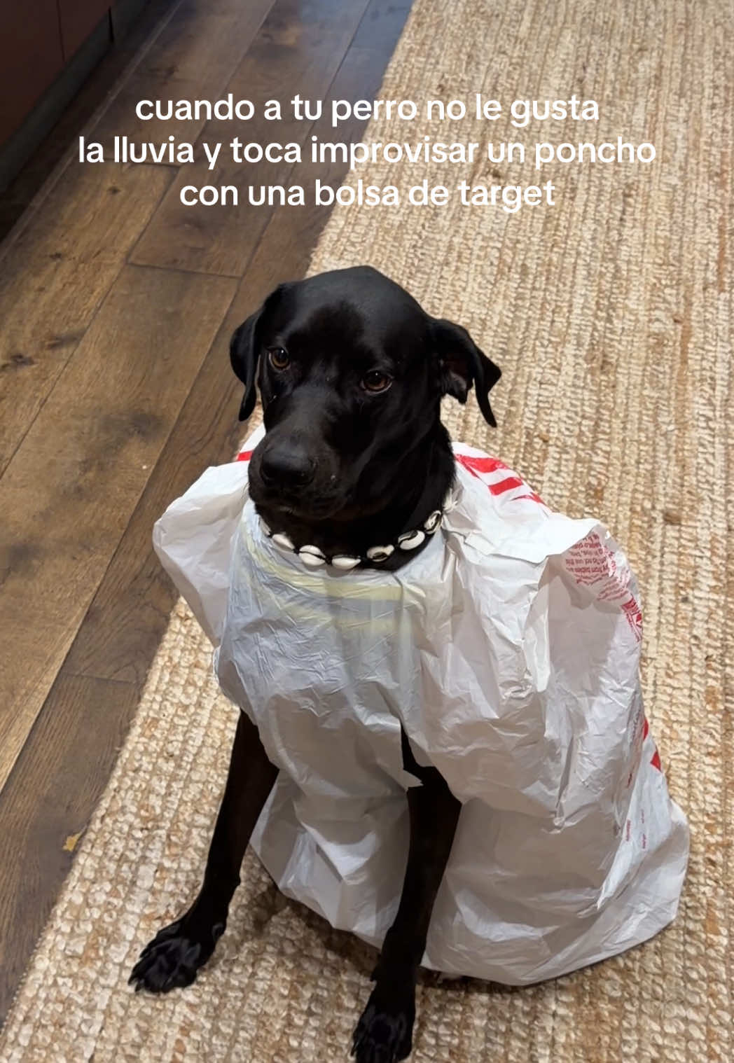 @Isa Quiros