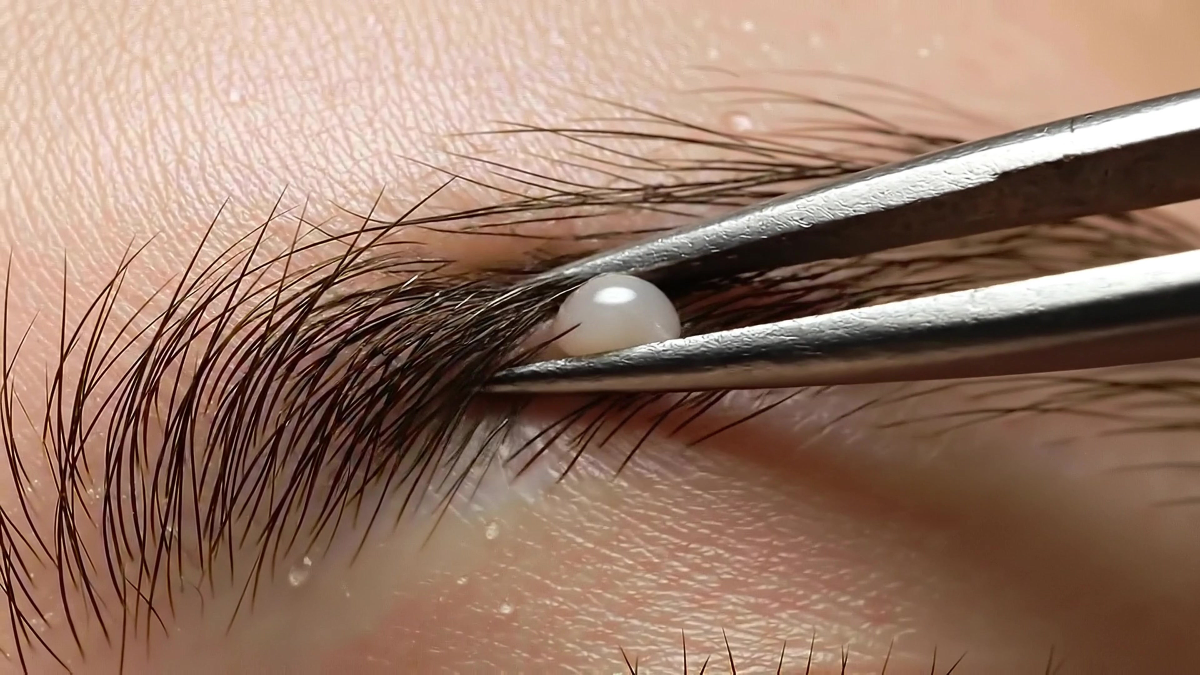 @asmrbeautypro