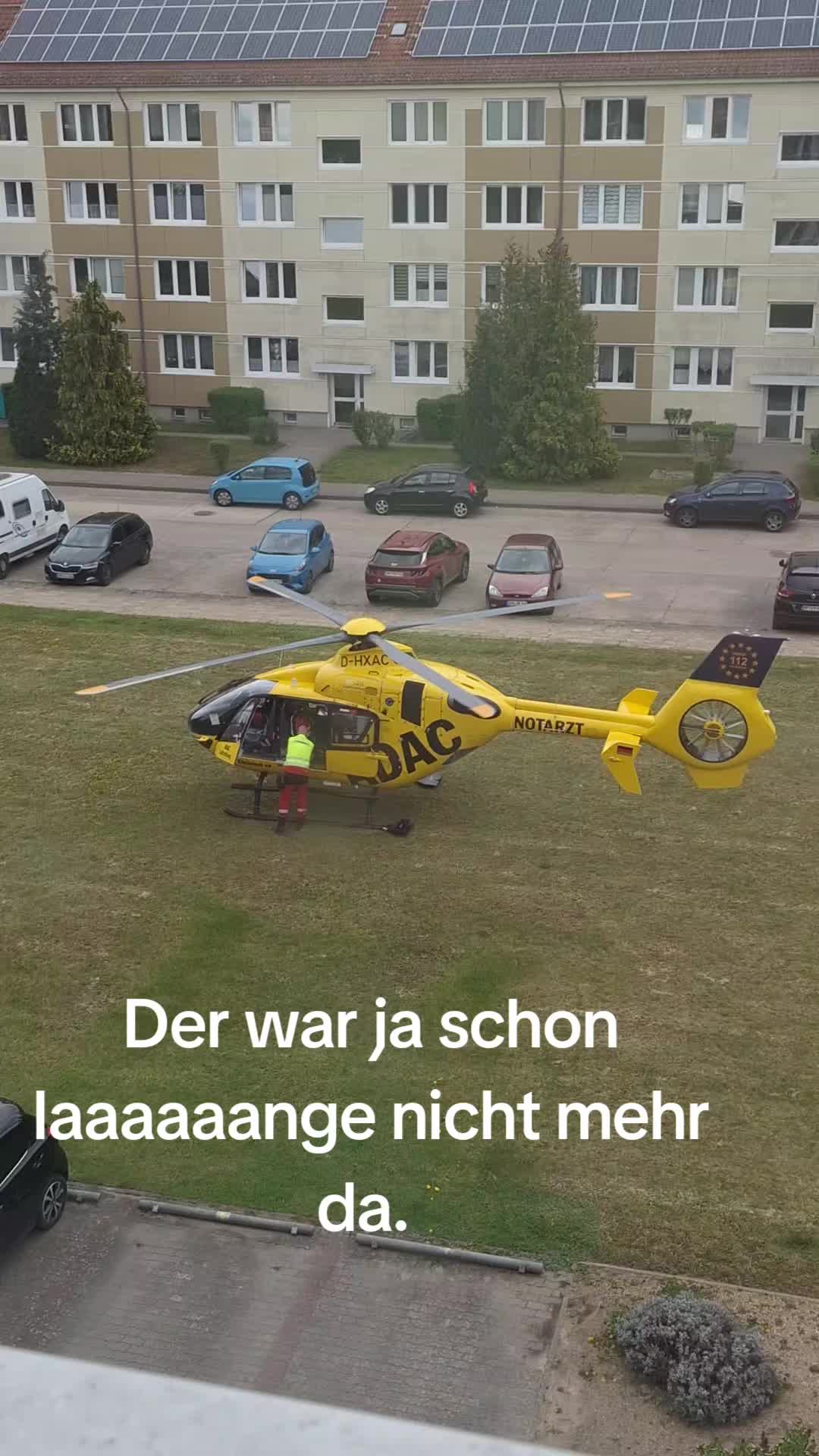 @Heike ( Li/Lylady )
