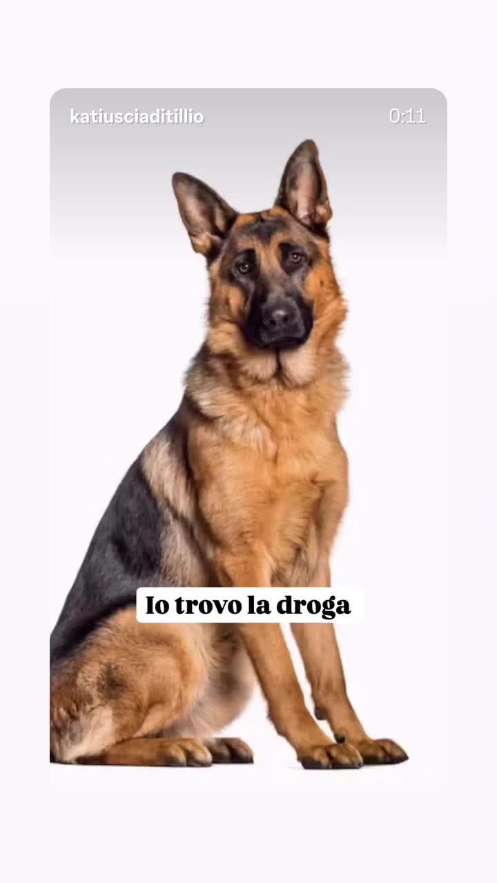 @katiusciaditillio