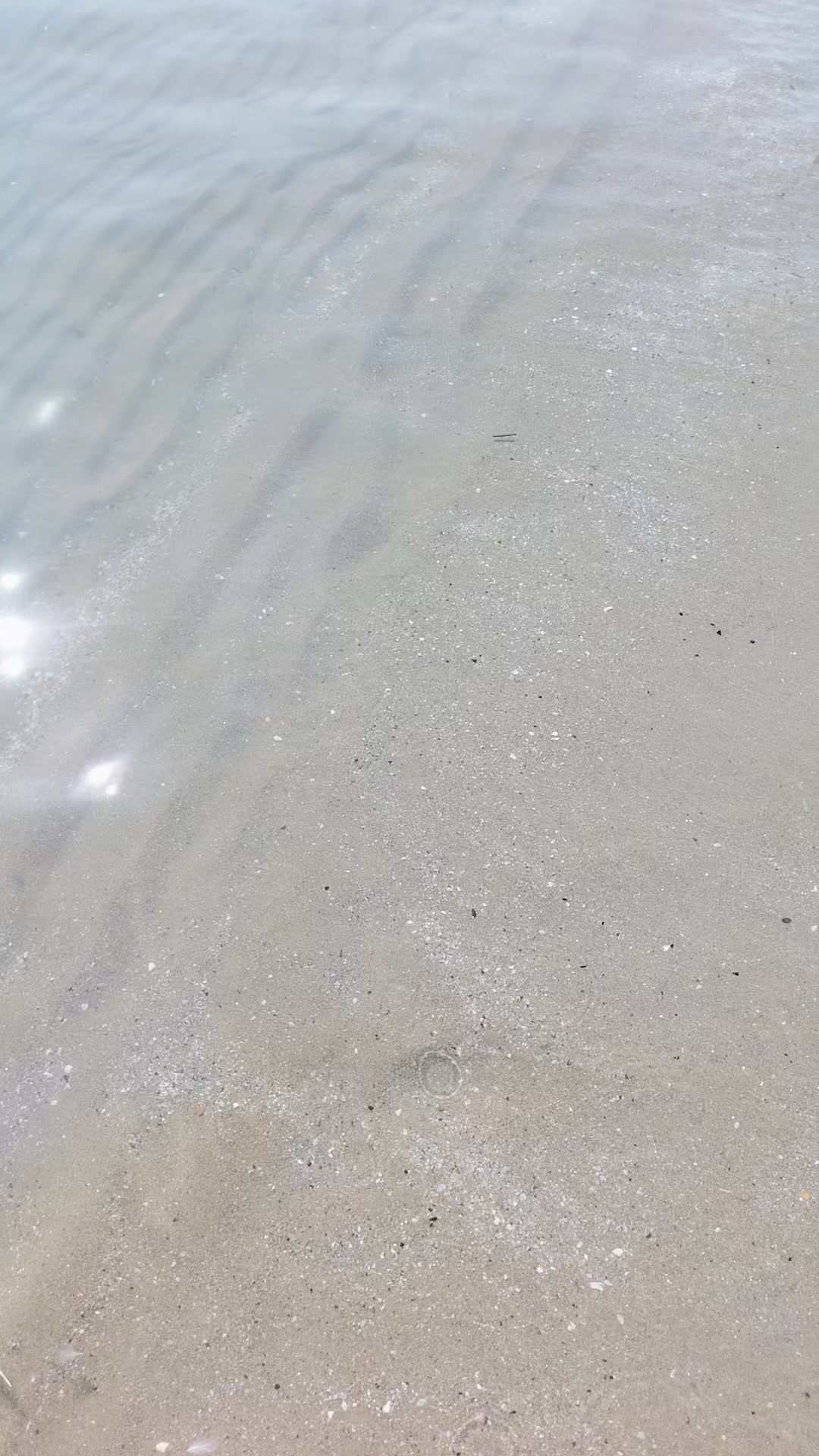 @ᒪᗩ ᘜᑌᗴᖇᖇIᗴᖇᗩ💚🤍❤