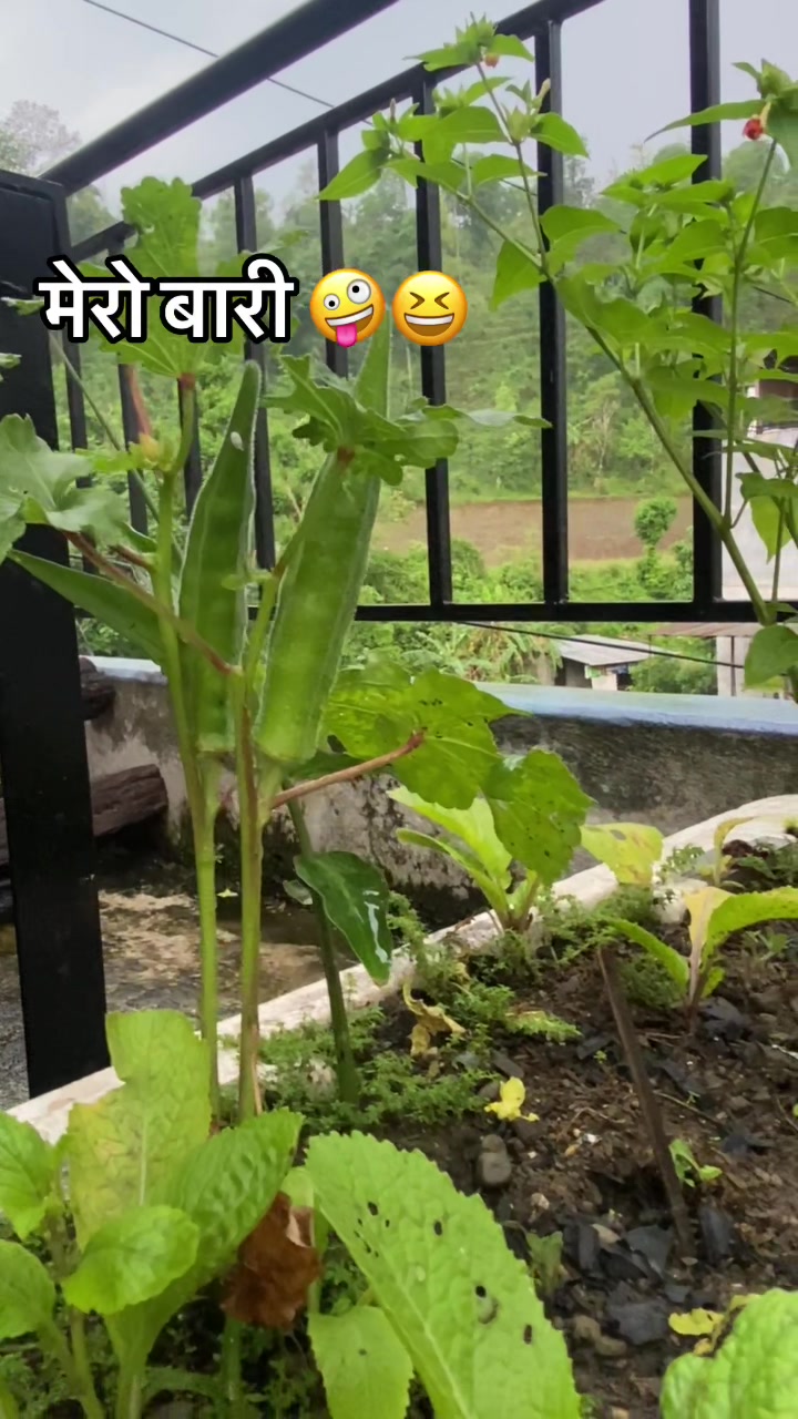 @suzan shrestha