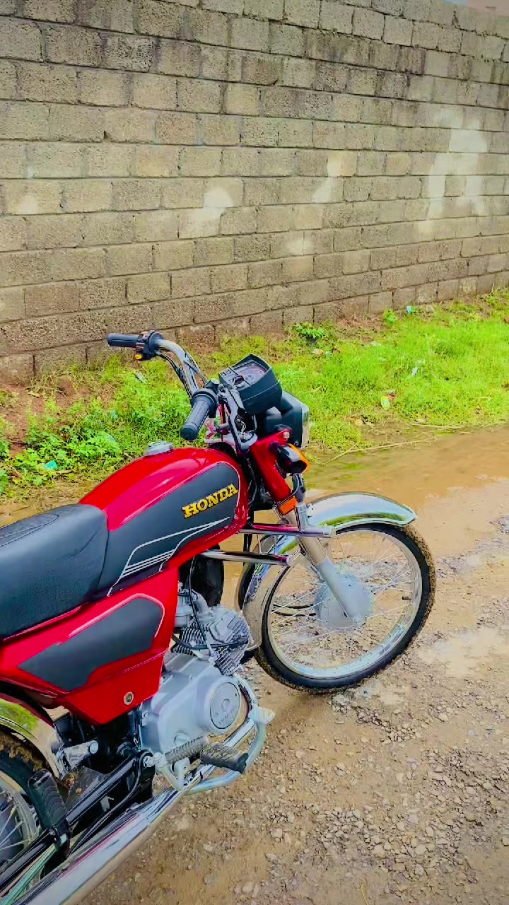 @zainali34626