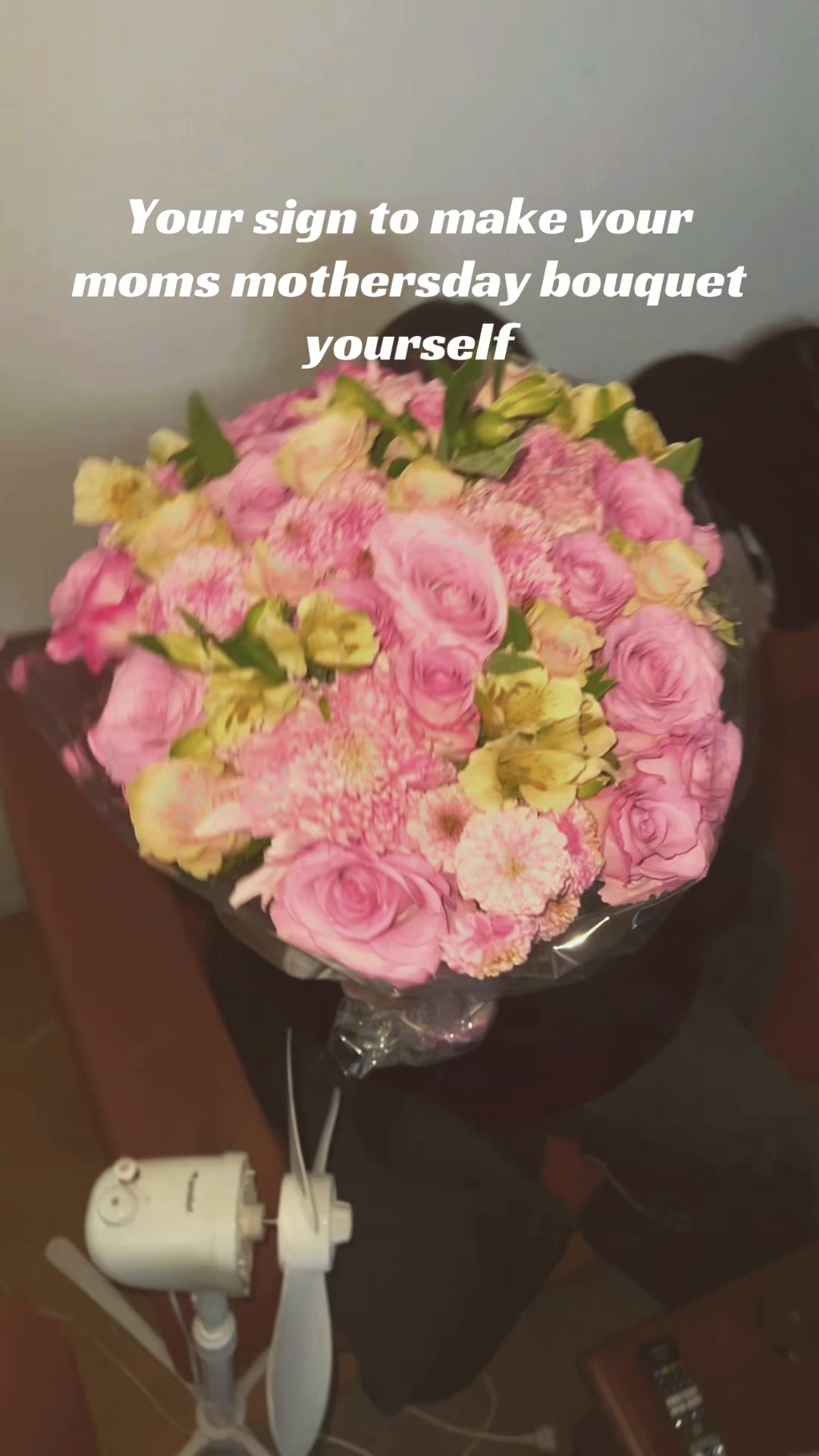 @Cat